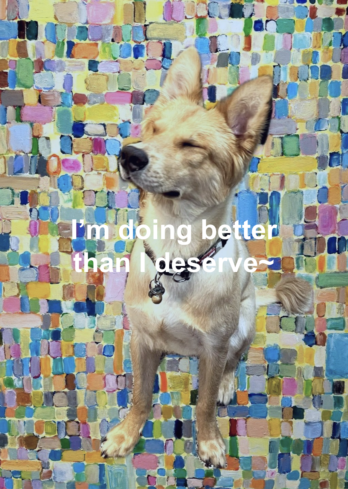 截圖 2024-10-29 上午11.27.51.png