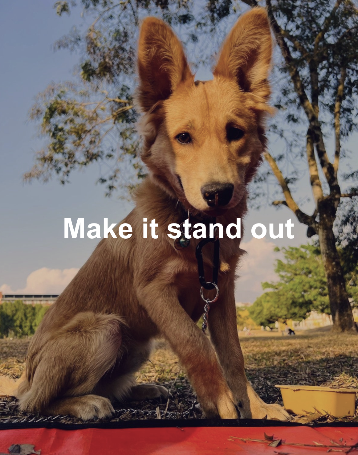 截圖 2024-10-29 上午11.34.53.png