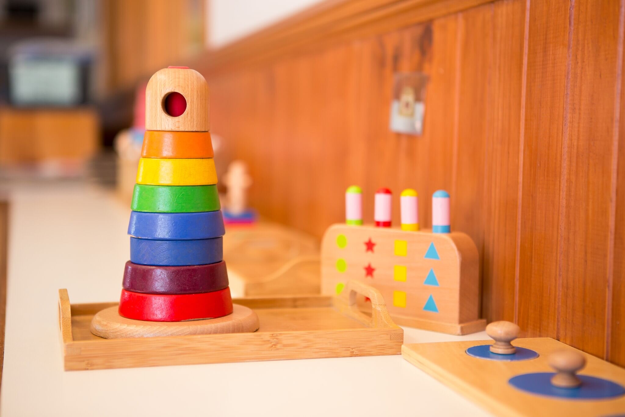 Educational Montessori Wooden Toy Game