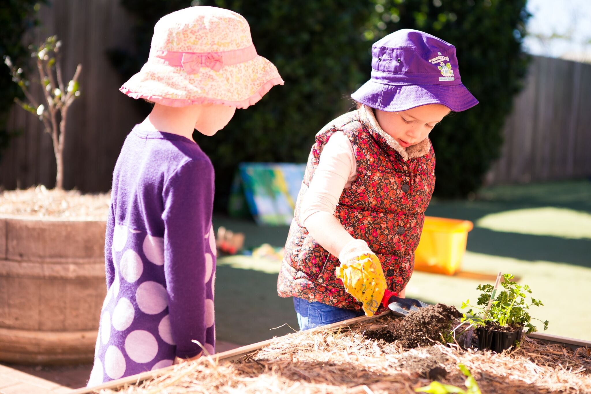 Gardening Activity For Preschooler In Toowoomba