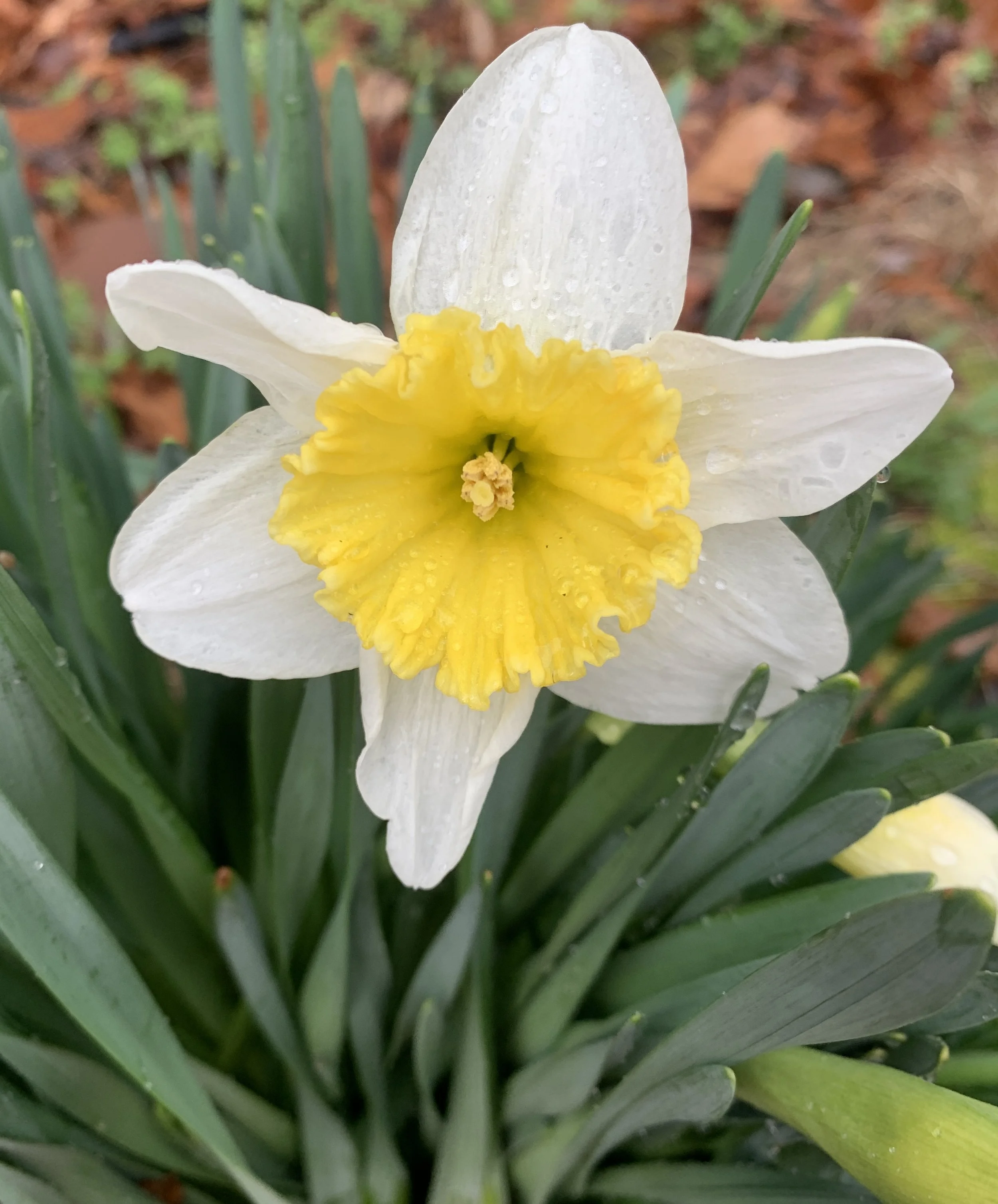 Unfolding