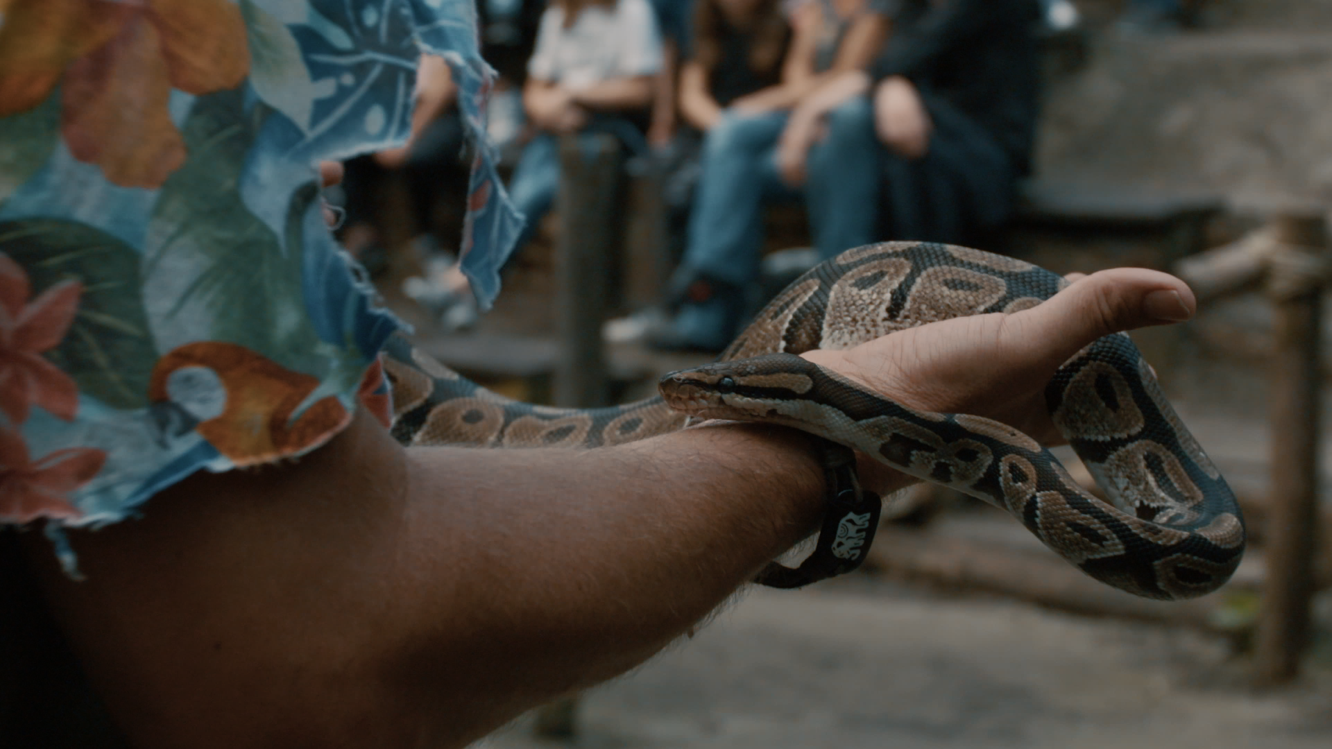 Wildlands 2.png