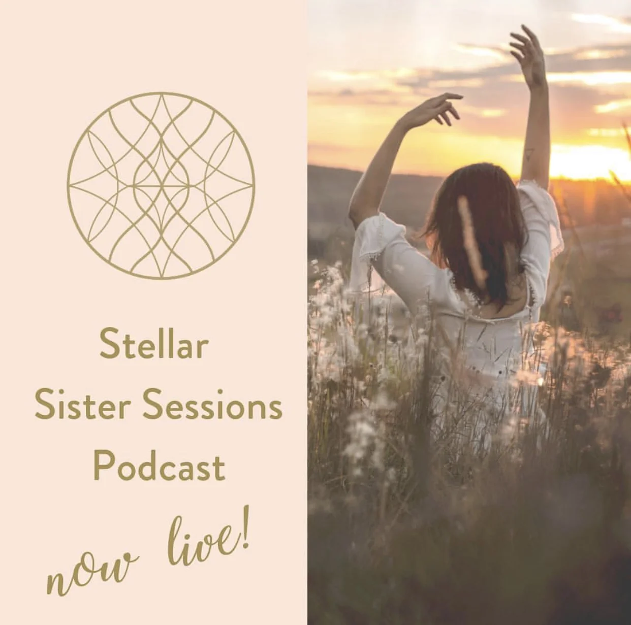 C4610935-0B95-49EA-AB0C-456518A3E976