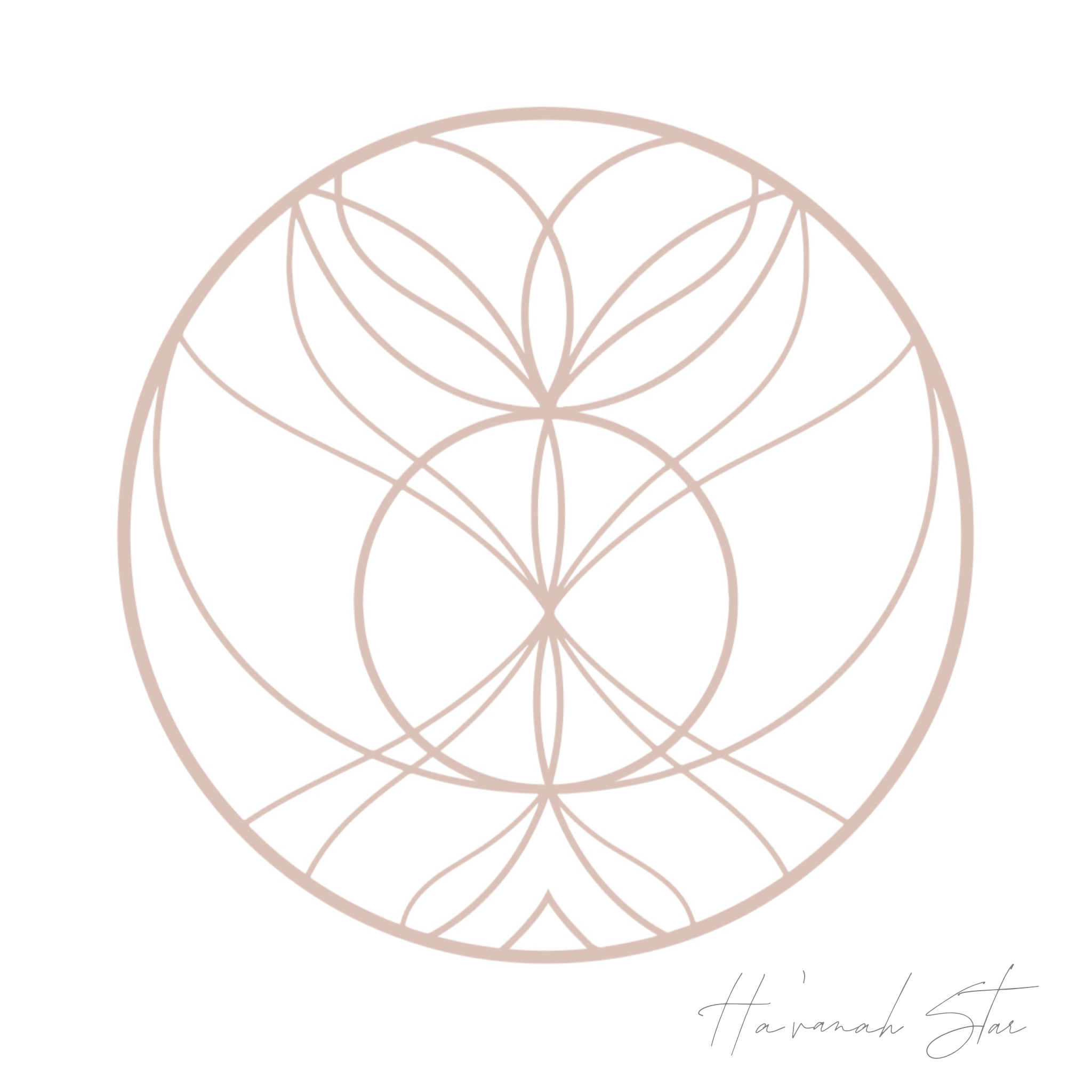 22DE46FB-5643-438B-B213-D5724E84416B