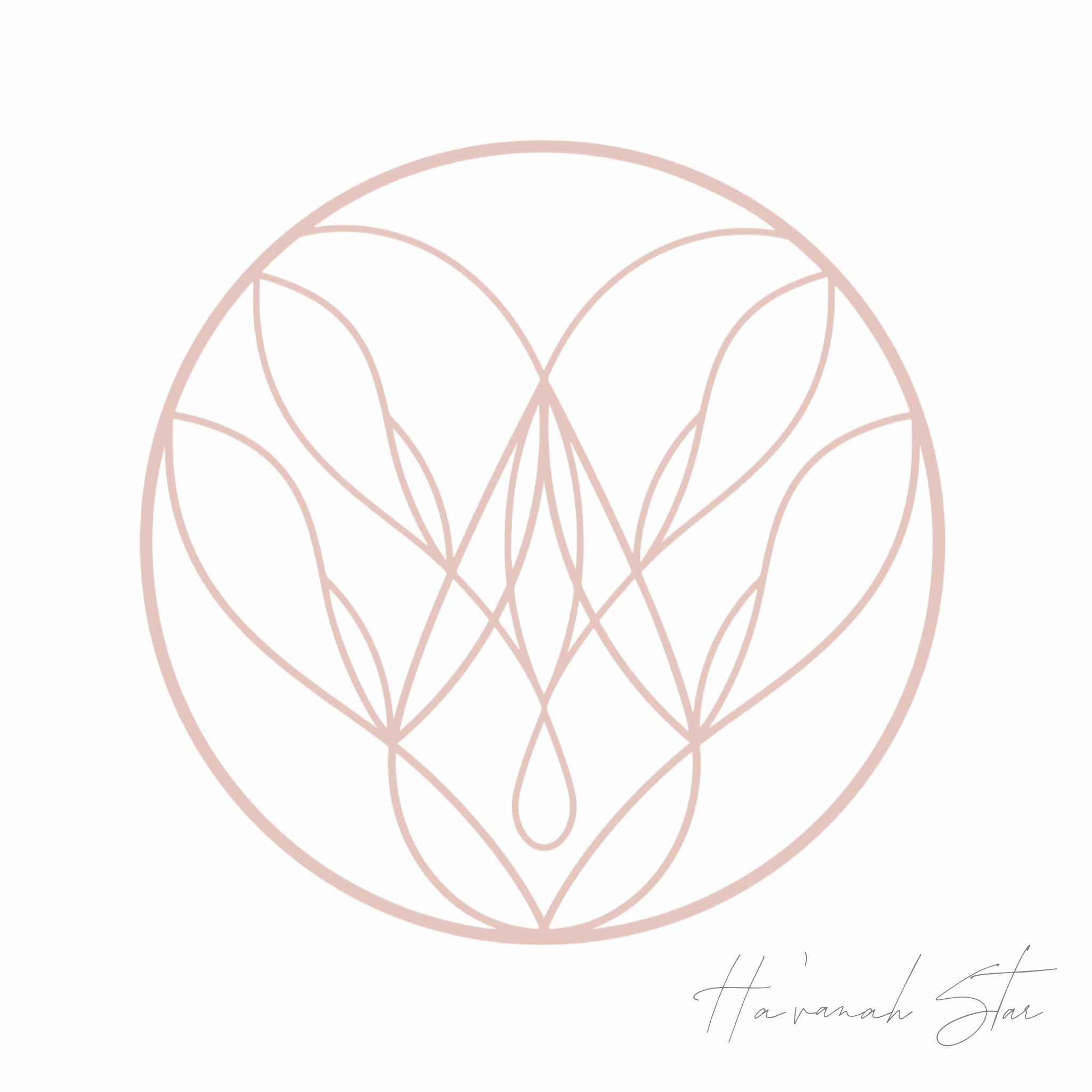 634E8BDC-B53A-478B-969B-54958AB794E5