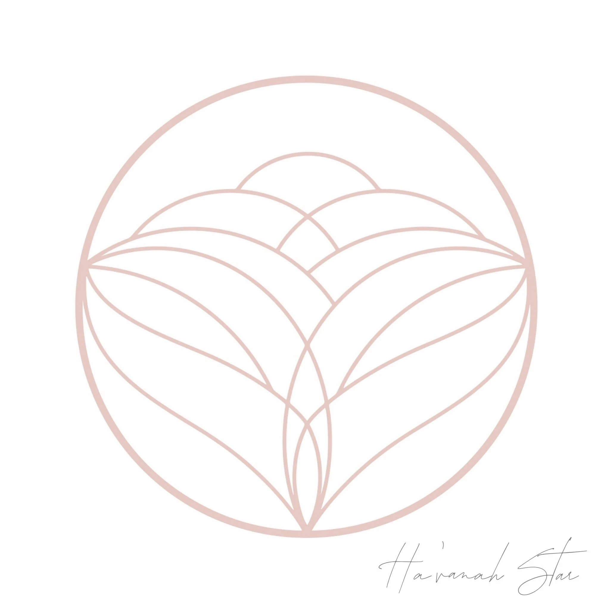 48E952A9-9090-4CB3-BA2F-A342F23D9067