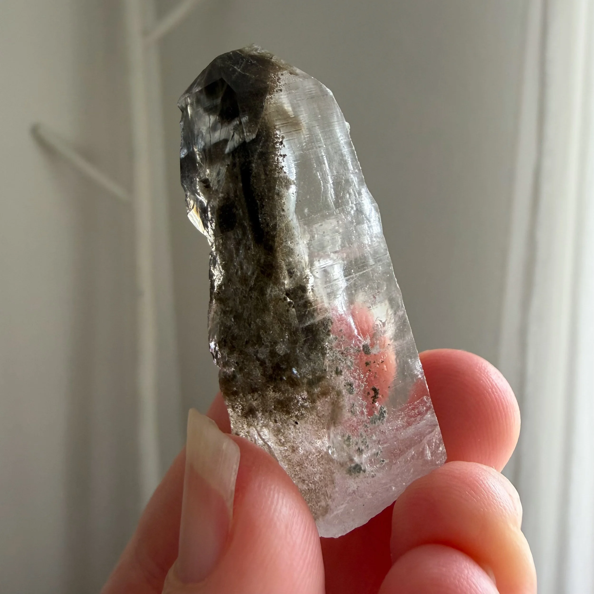 B87DA685-944C-4FB2-866E-A66F164724F8.jpeg