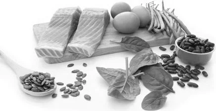 Fat and Carbohydrates: An Athlete's Guide