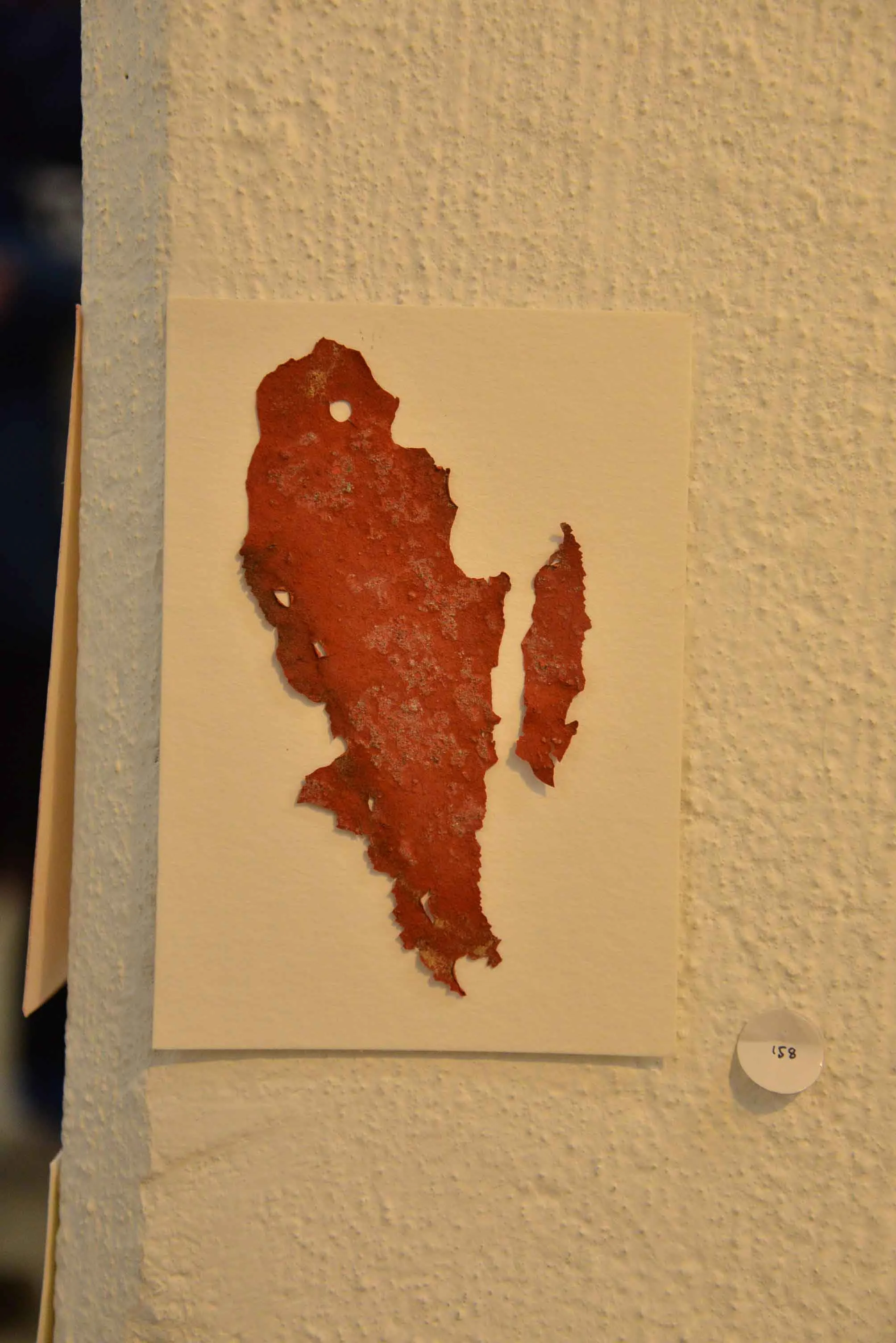 DSC_0061.jpg