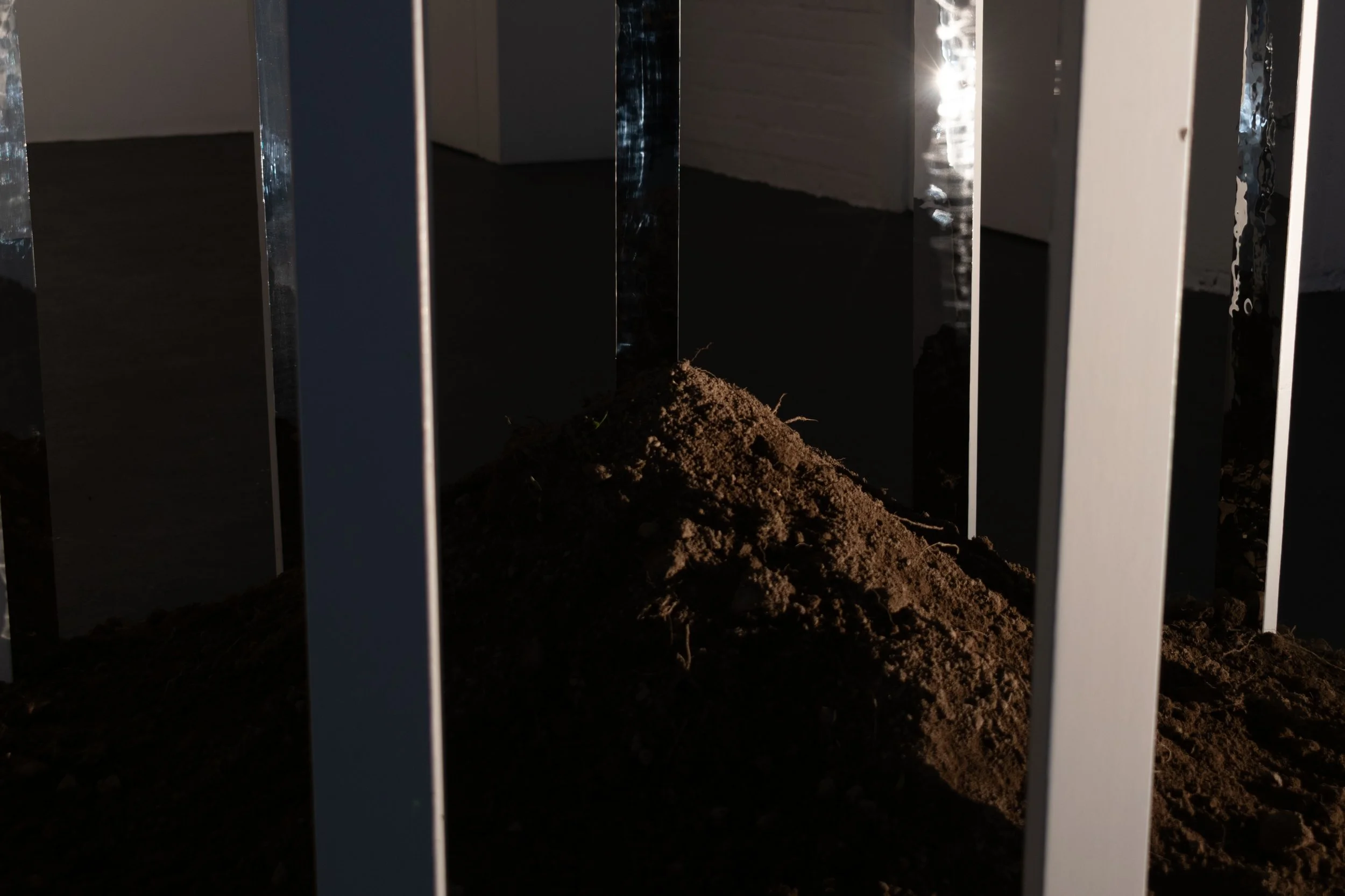 I Land_install_12.jpg