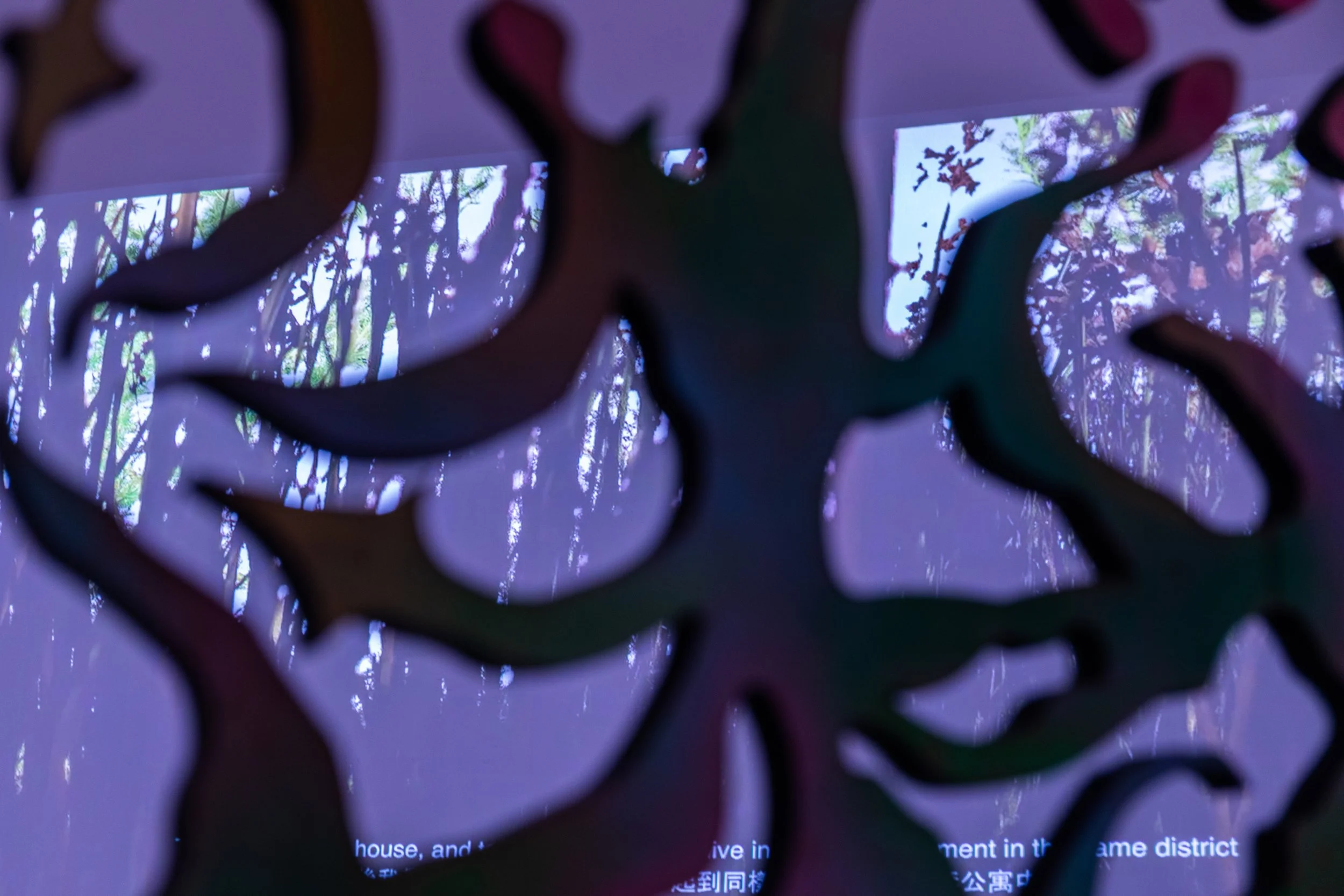 playstation_musicvideo_23.jpg
