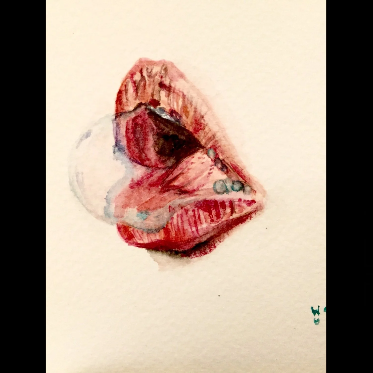 2016-07-30 17.12.23.jpg