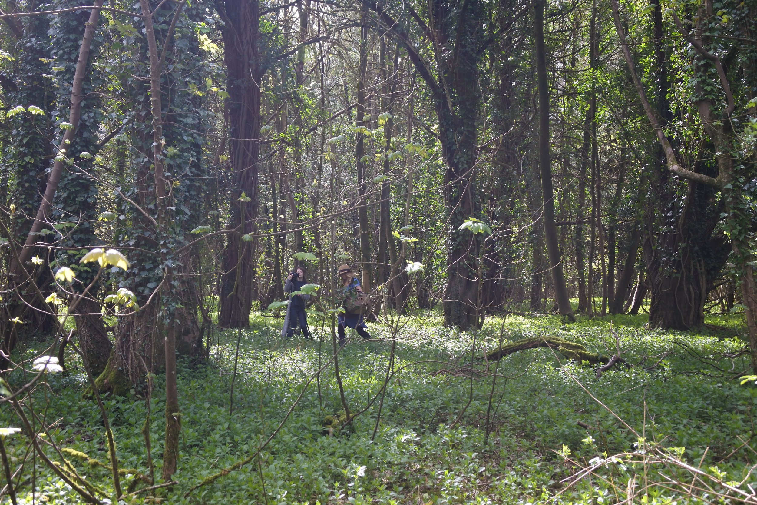 My lovely friends Emily Slead of Hunting Ground Films and Tara Wharton of Freckled Floral on a spring time forage in the woods. Photo by: Claire Bowen