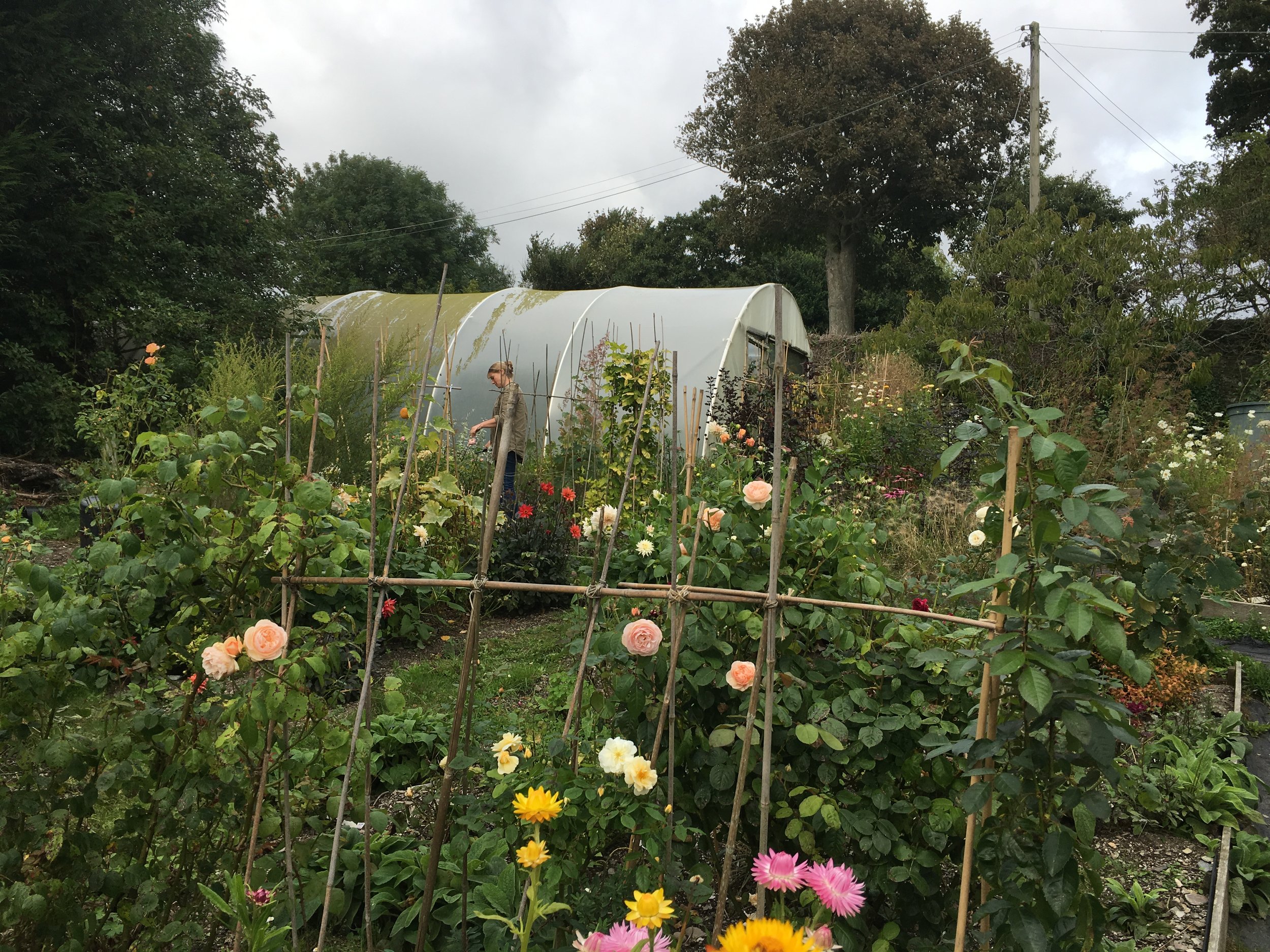 Susanne in her beautiful garden Photo by Claire Bowen