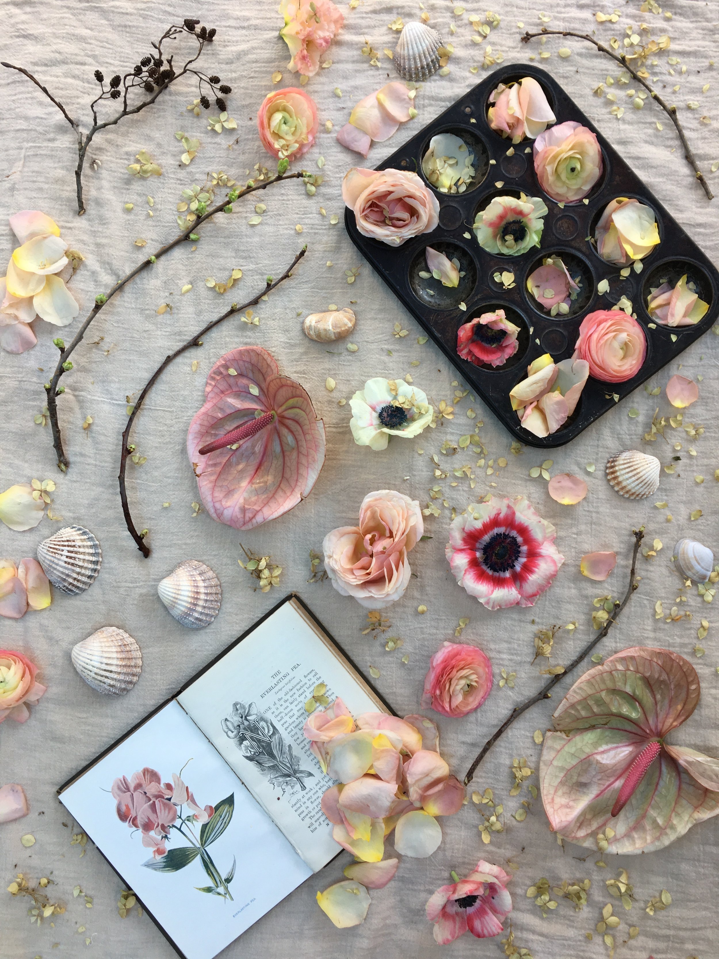 Flat lay by: Honeysuckle and HildaPhoto by: Claire Bowen
