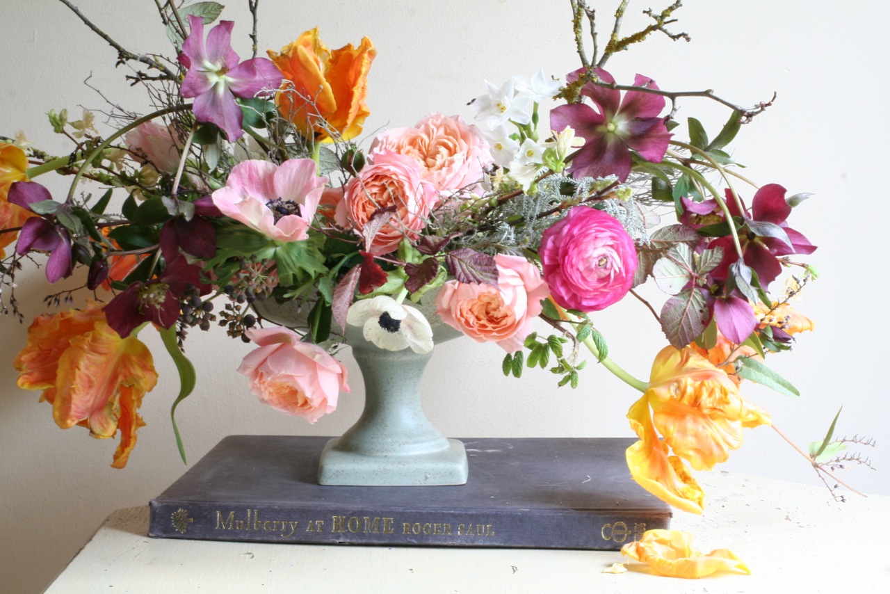 Flowers by: Lucy the Flower Hunter Photo by: Lucy the Flower Hunter