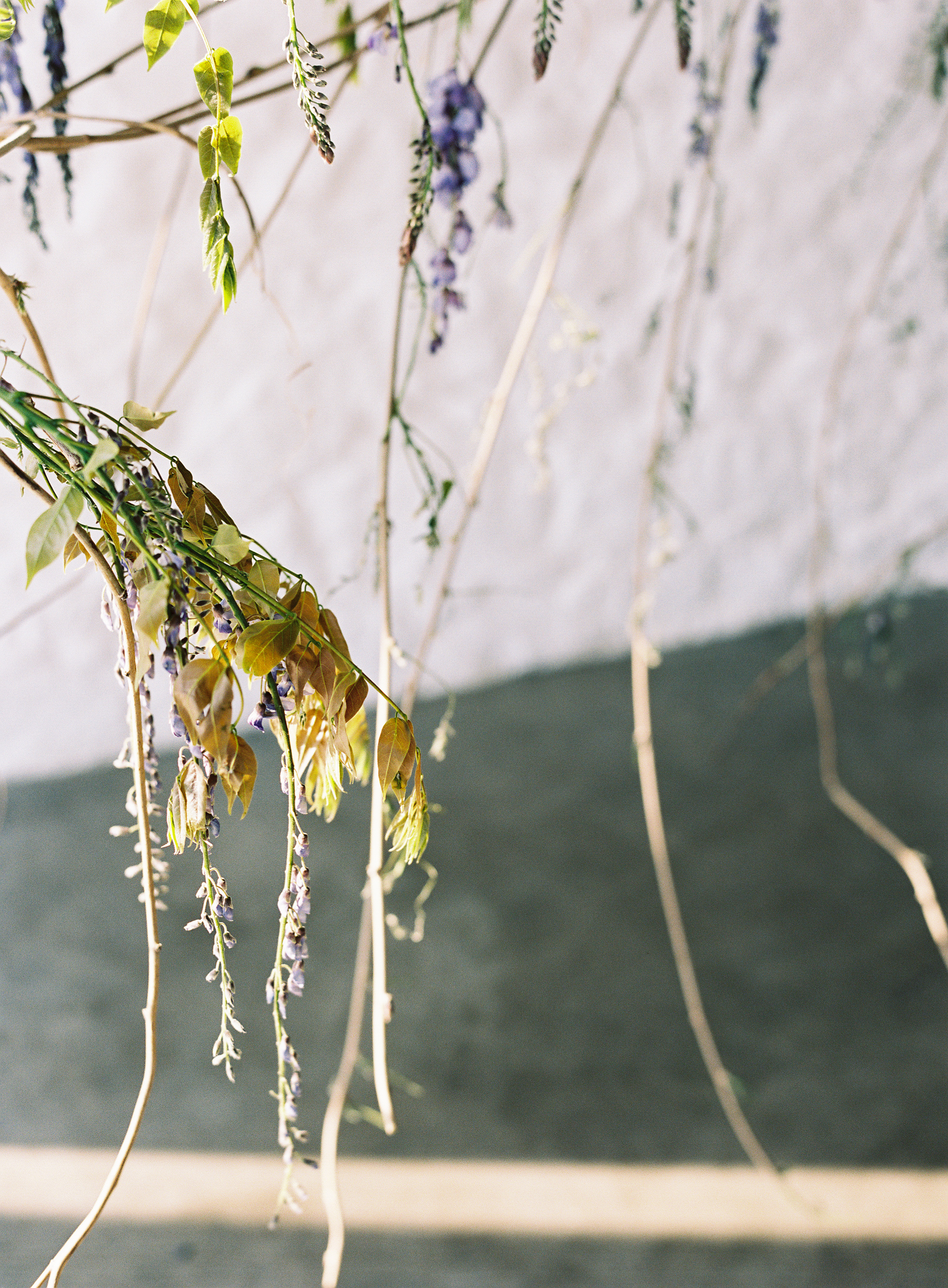 Installation by: Team Primaveral Photo by: Taylor and Porter