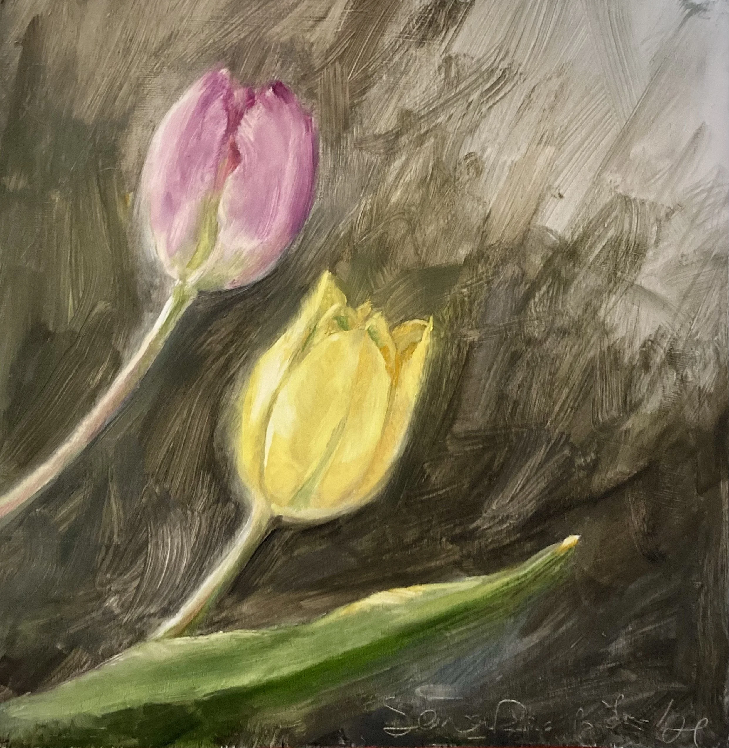 Tulip sketch 1_DanaRanke.jpg