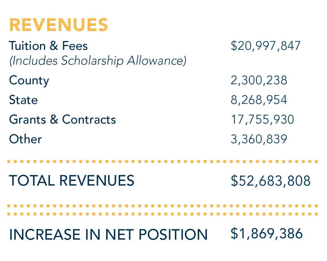 Revenues_text.jpg