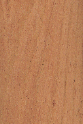 Brazilian Cherry Sample