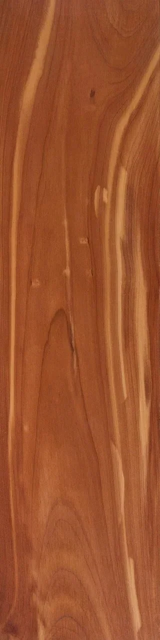 Cedar Wood Sample