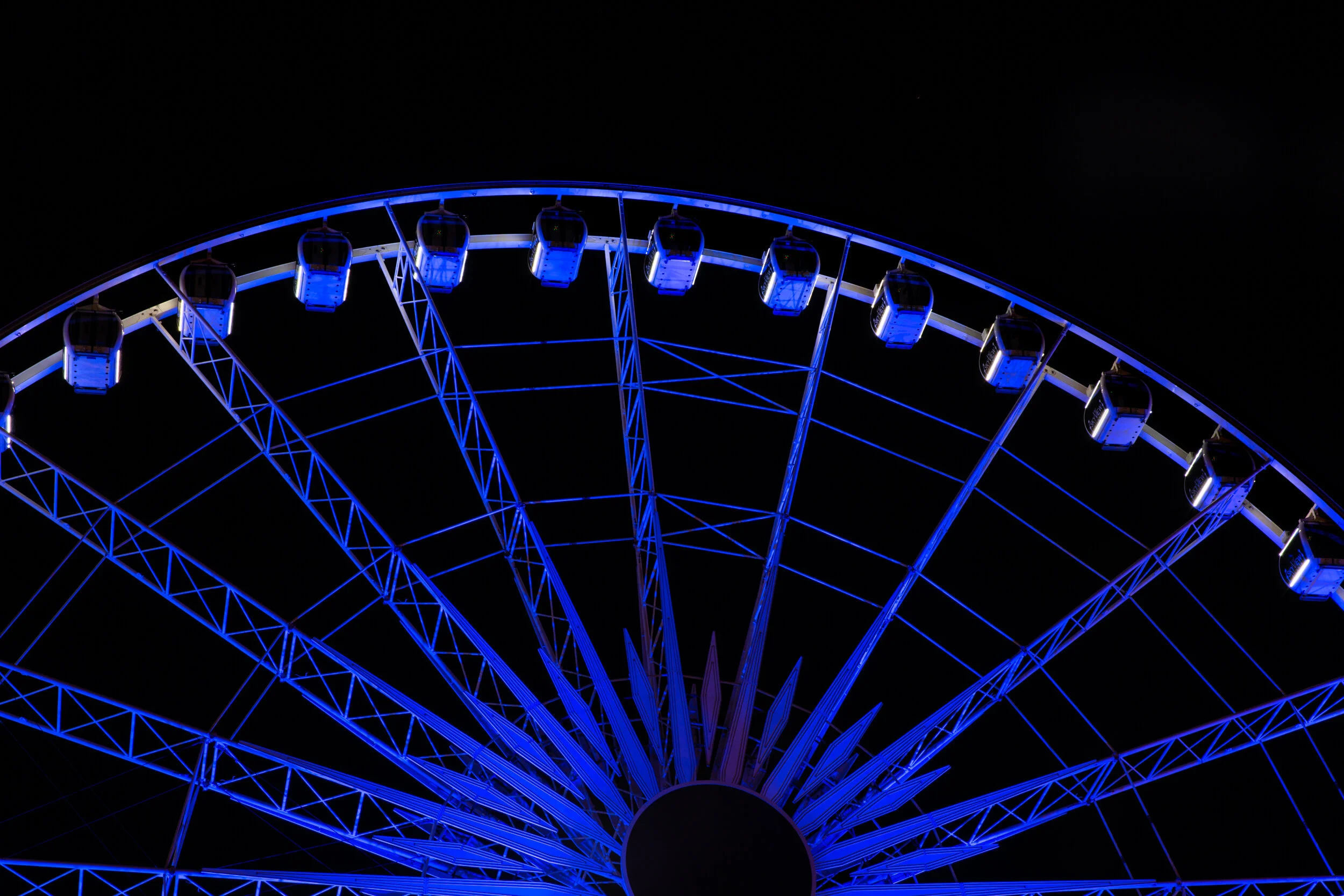 2020_04_09_Light It Blue ATL_Erin Sintos-8.JPG