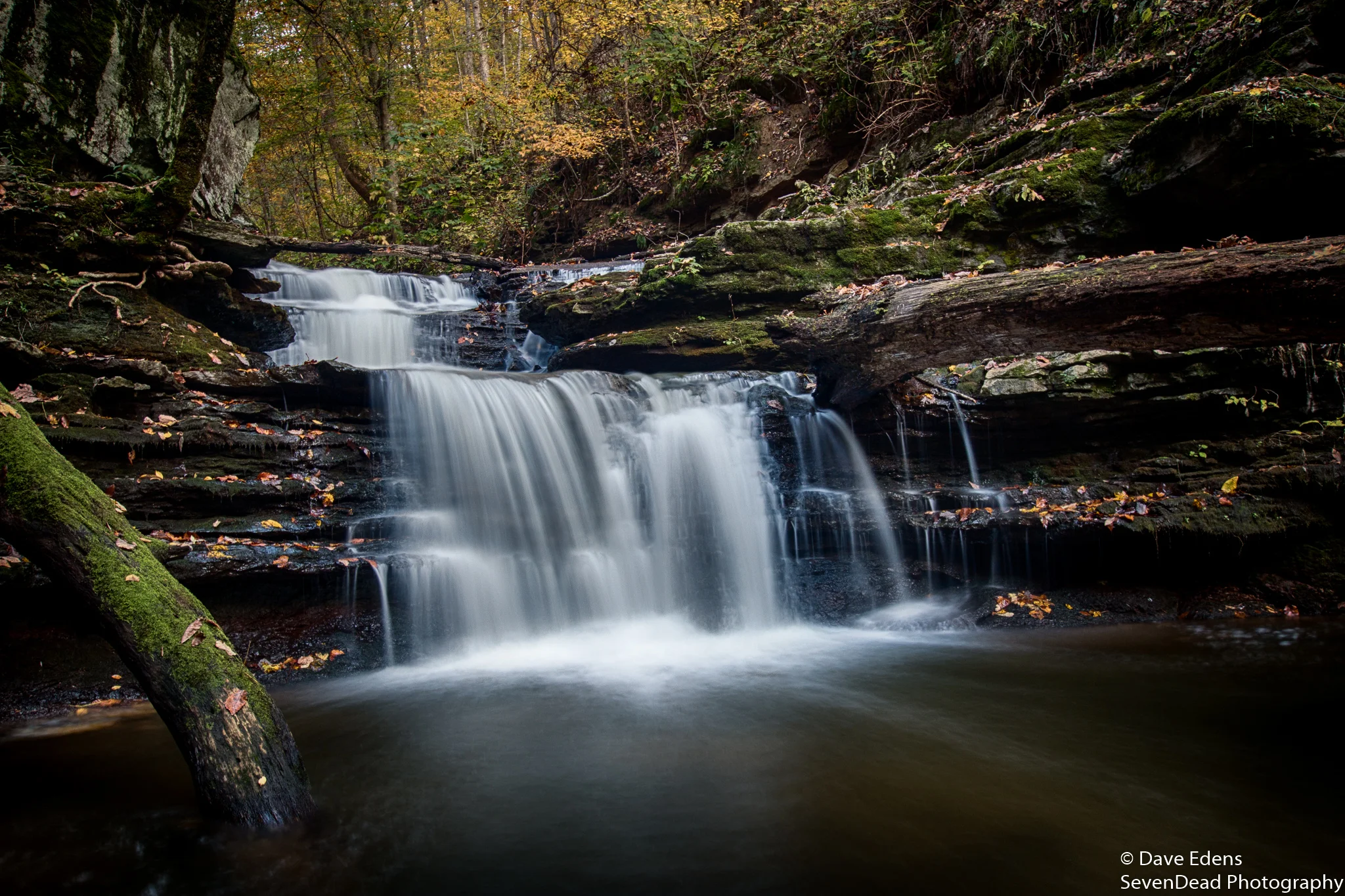 bucks pocket state park 1.jpg