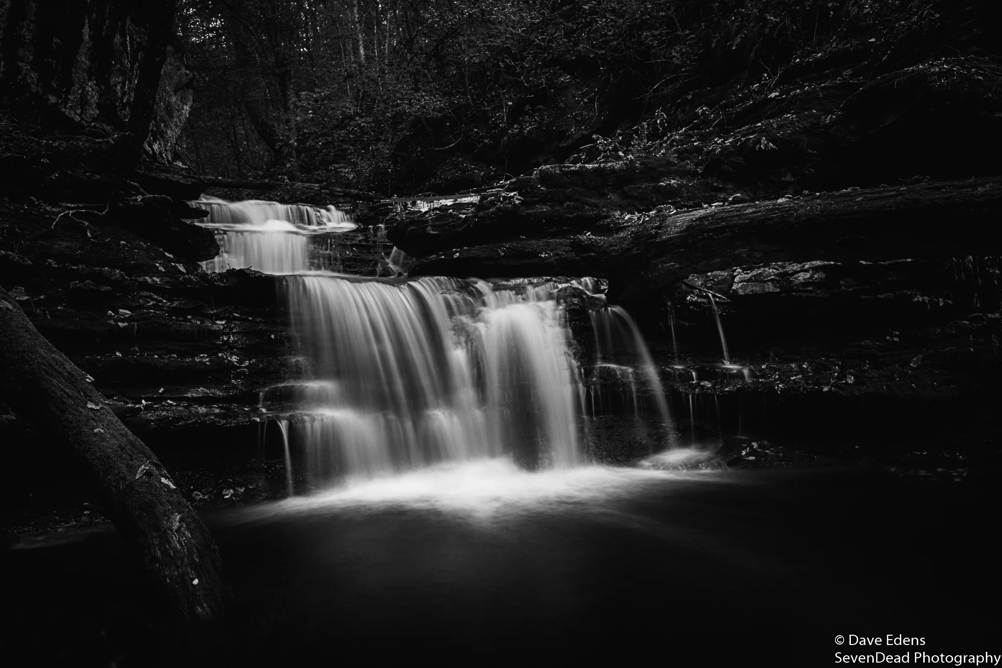 bucks pocket state park 3.jpg