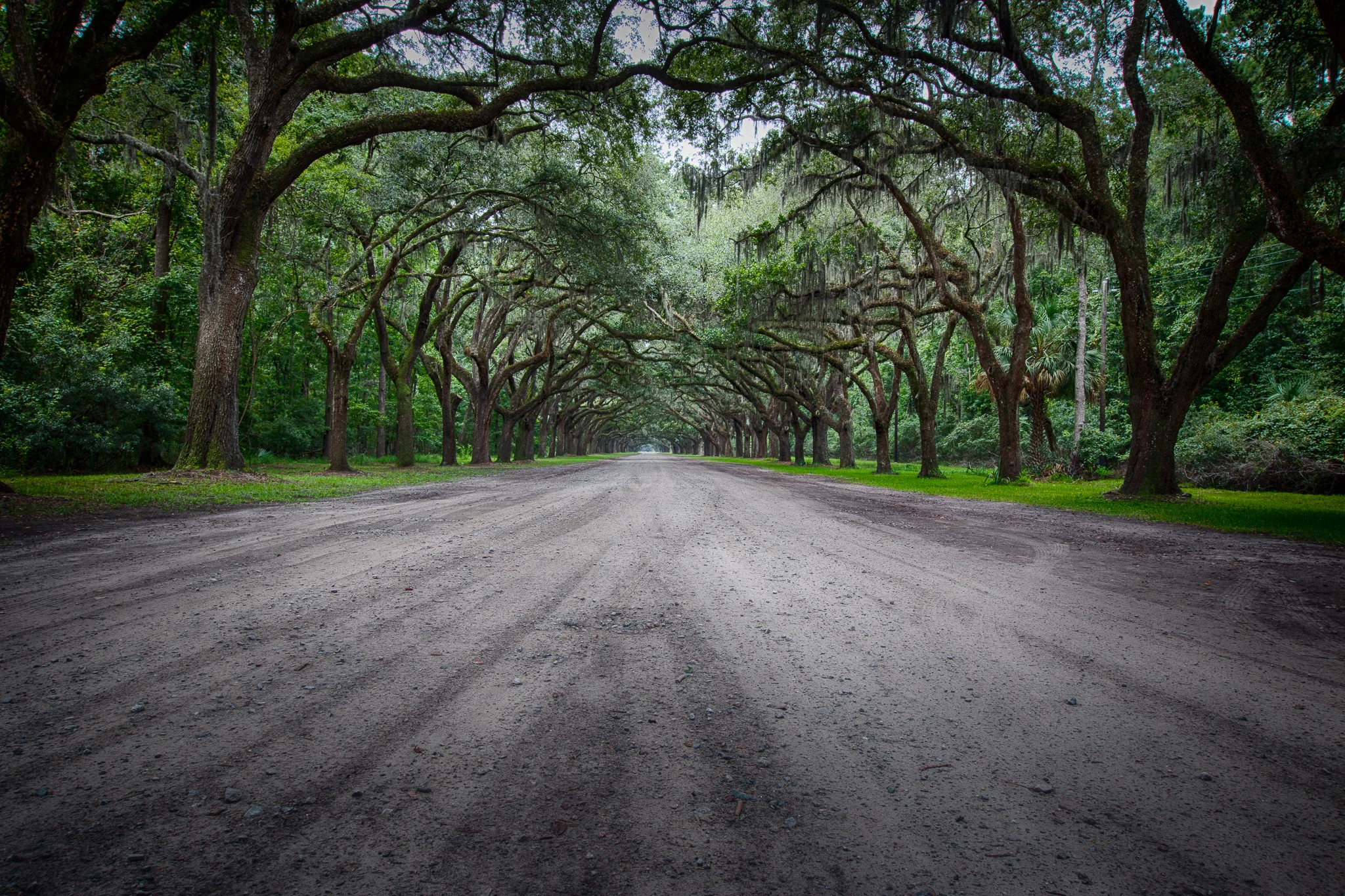 Wormsloe Avenue