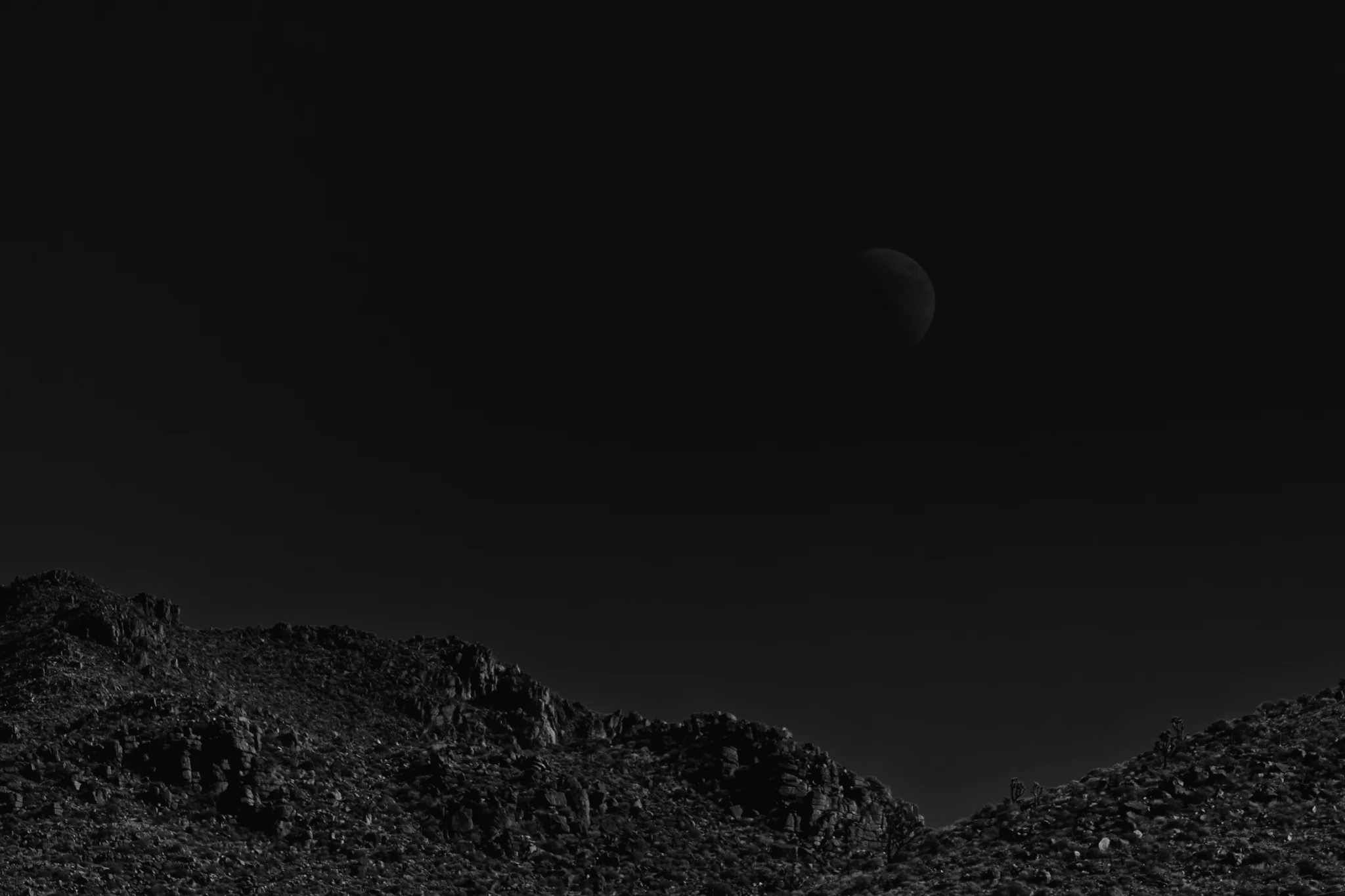 IMG_8086-Edit.jpg
