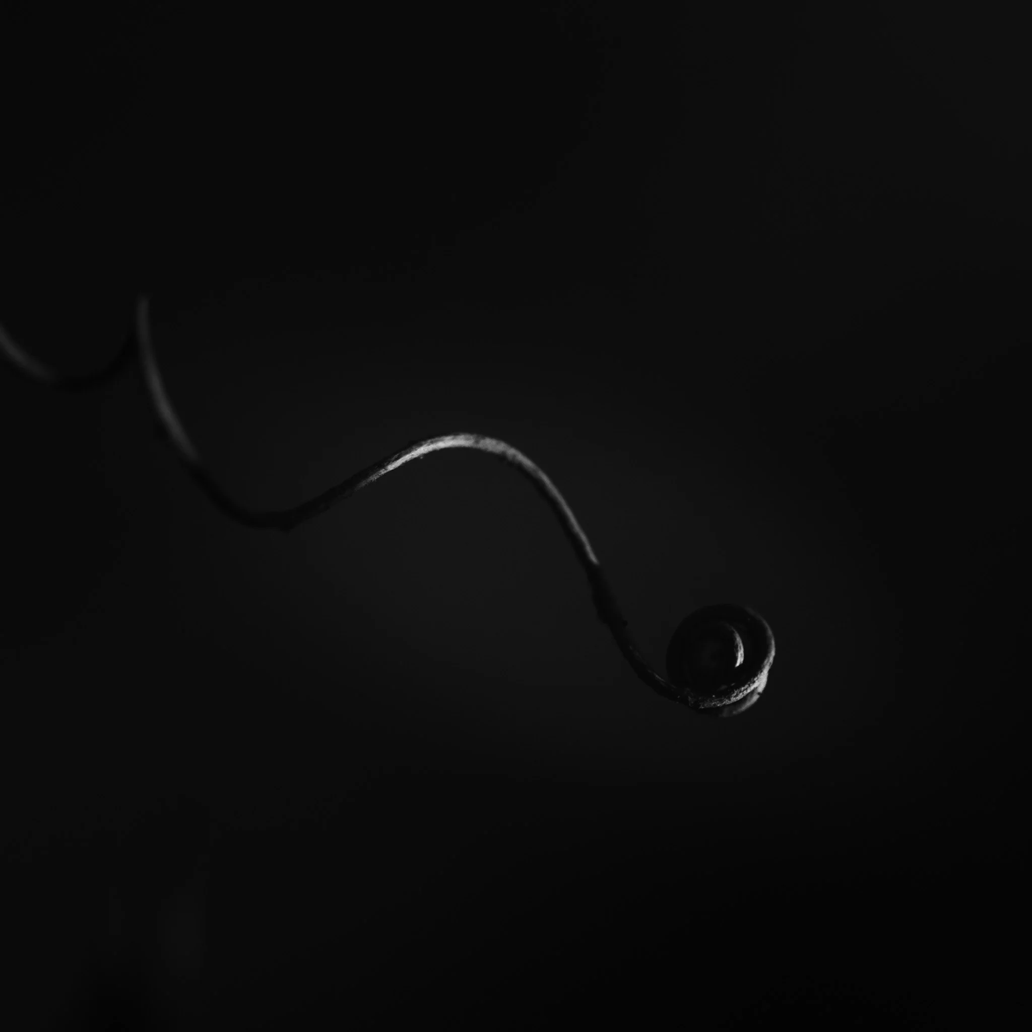 coils 1.jpg