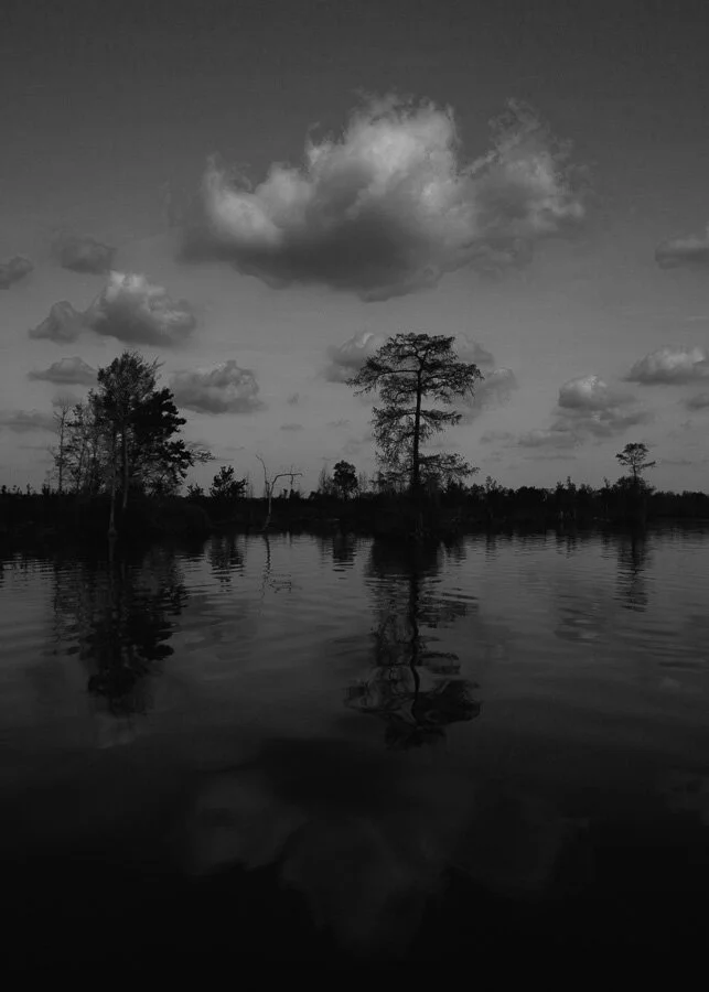 Lake Drummond 1.jpg