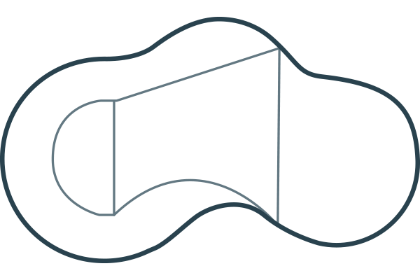 Humpback Kidney