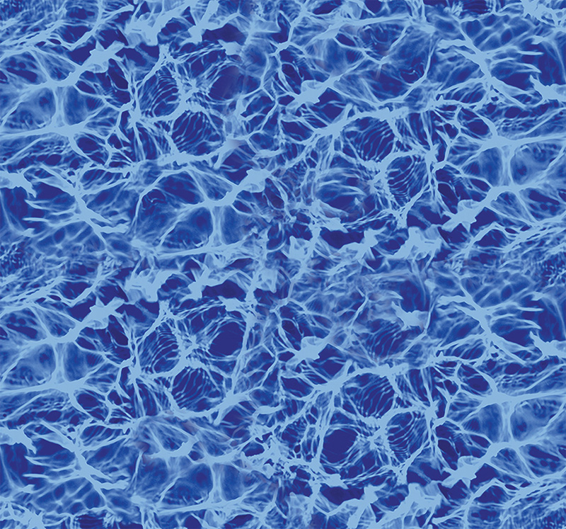 Blue Diffusion (Bottom)