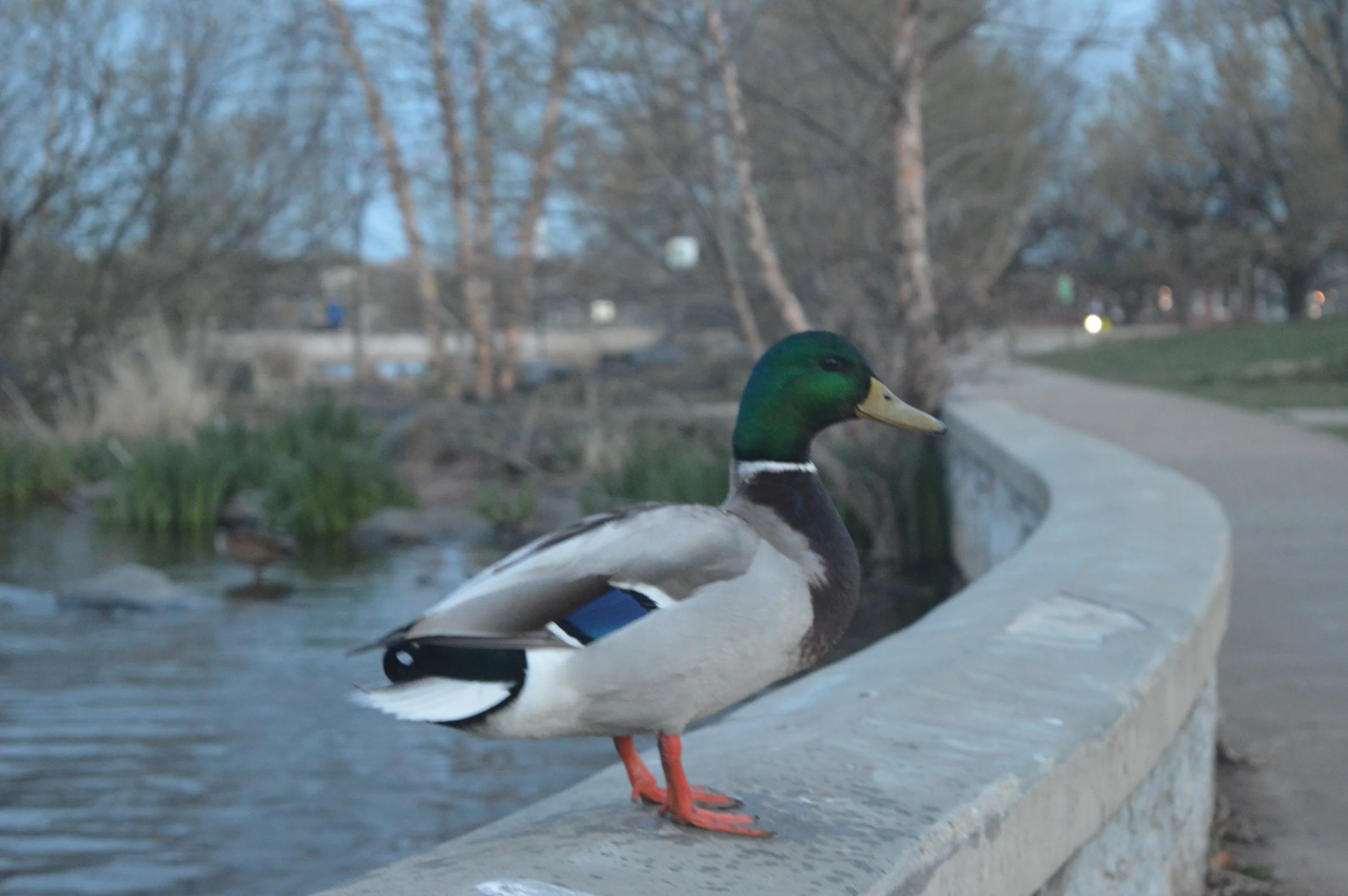 used4.jpg
