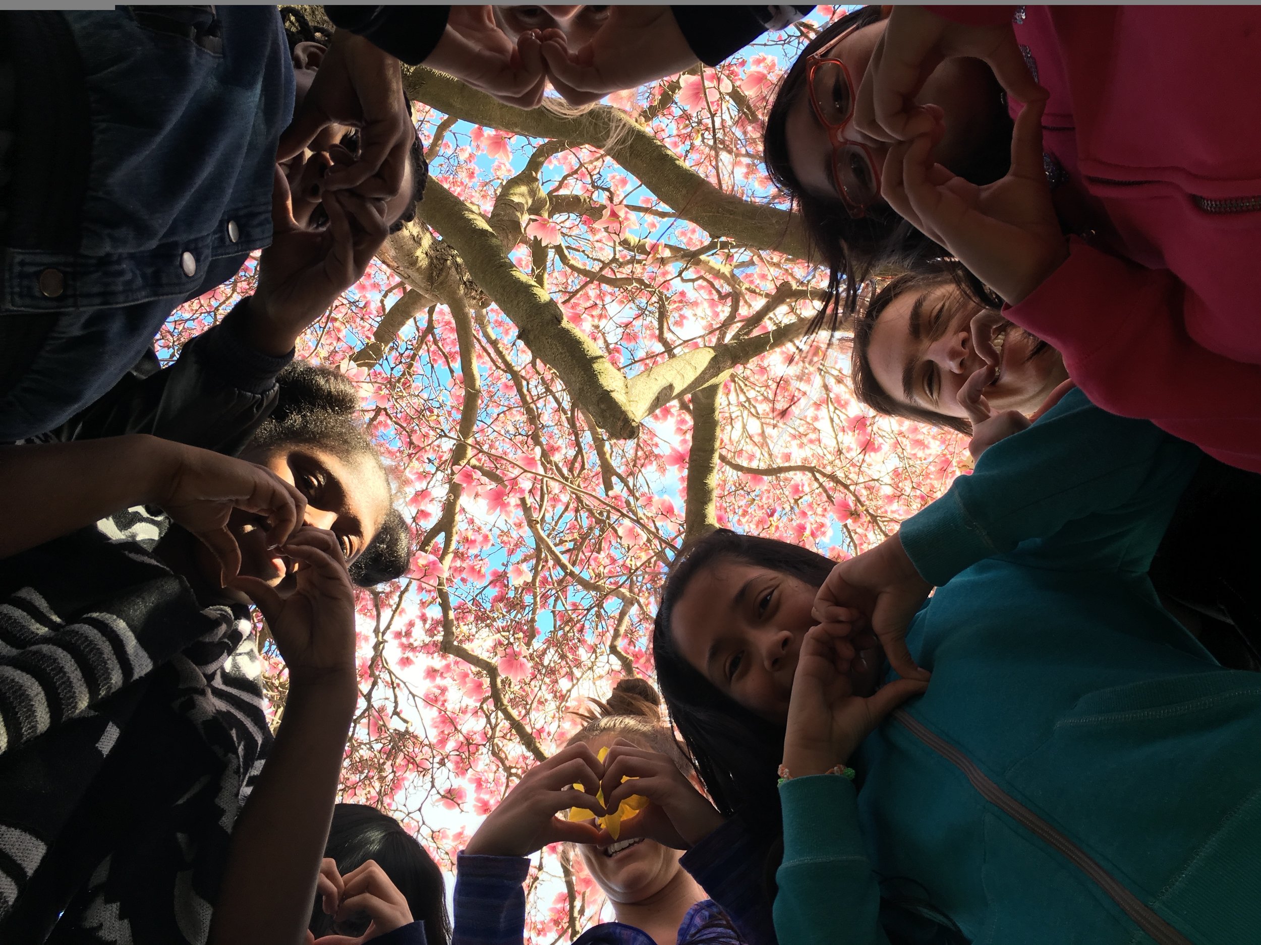 Park FAQ — Friends of Patterson Park