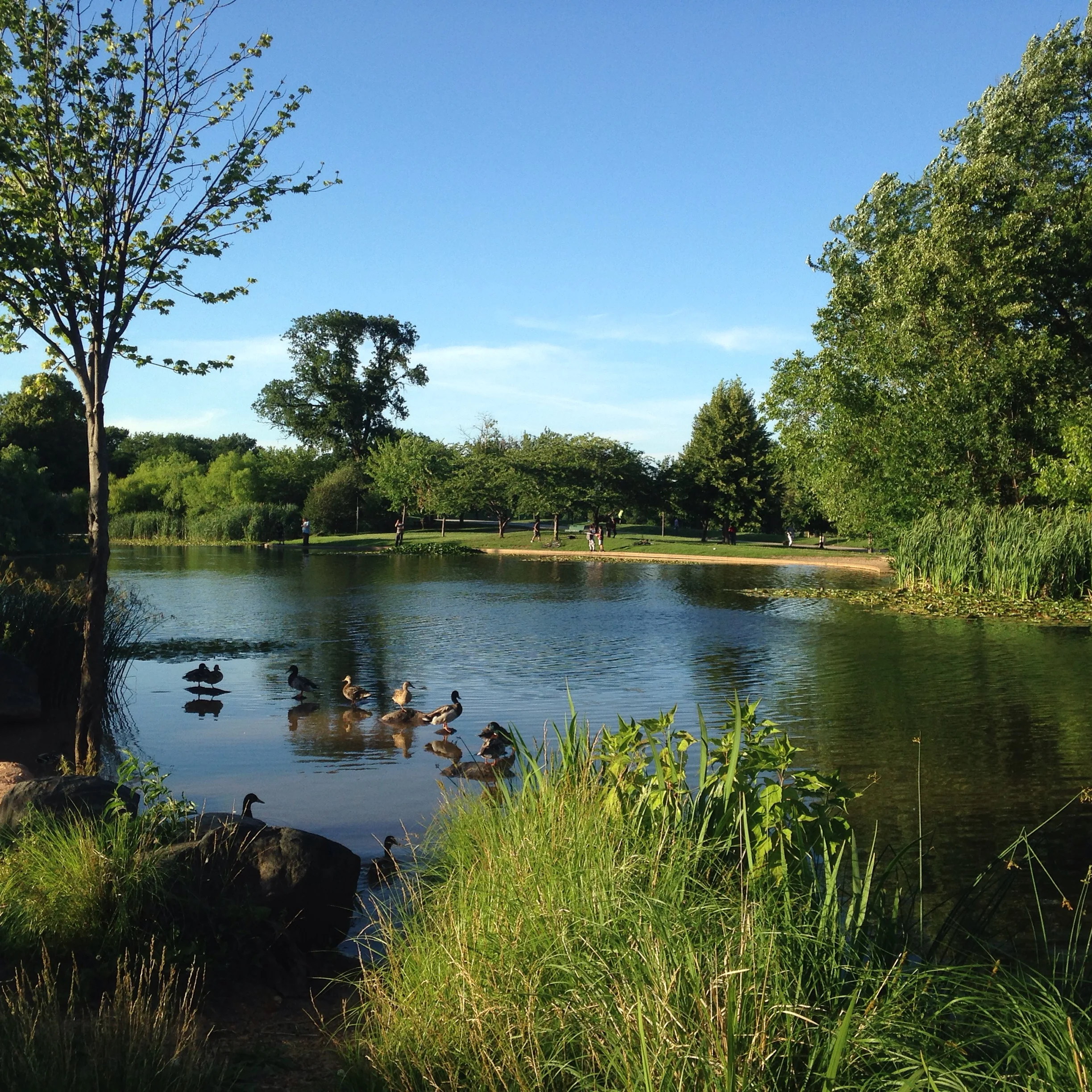 Park Landmarks — Friends of Patterson Park