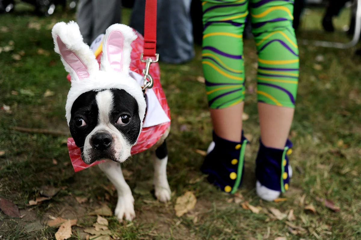 1._A_purple_crayon_waits_paitently_for_the_costume_contest_last_weekend_at_the_10th_annual_BARCStoberfest_in_Patterson_Park_.jpg