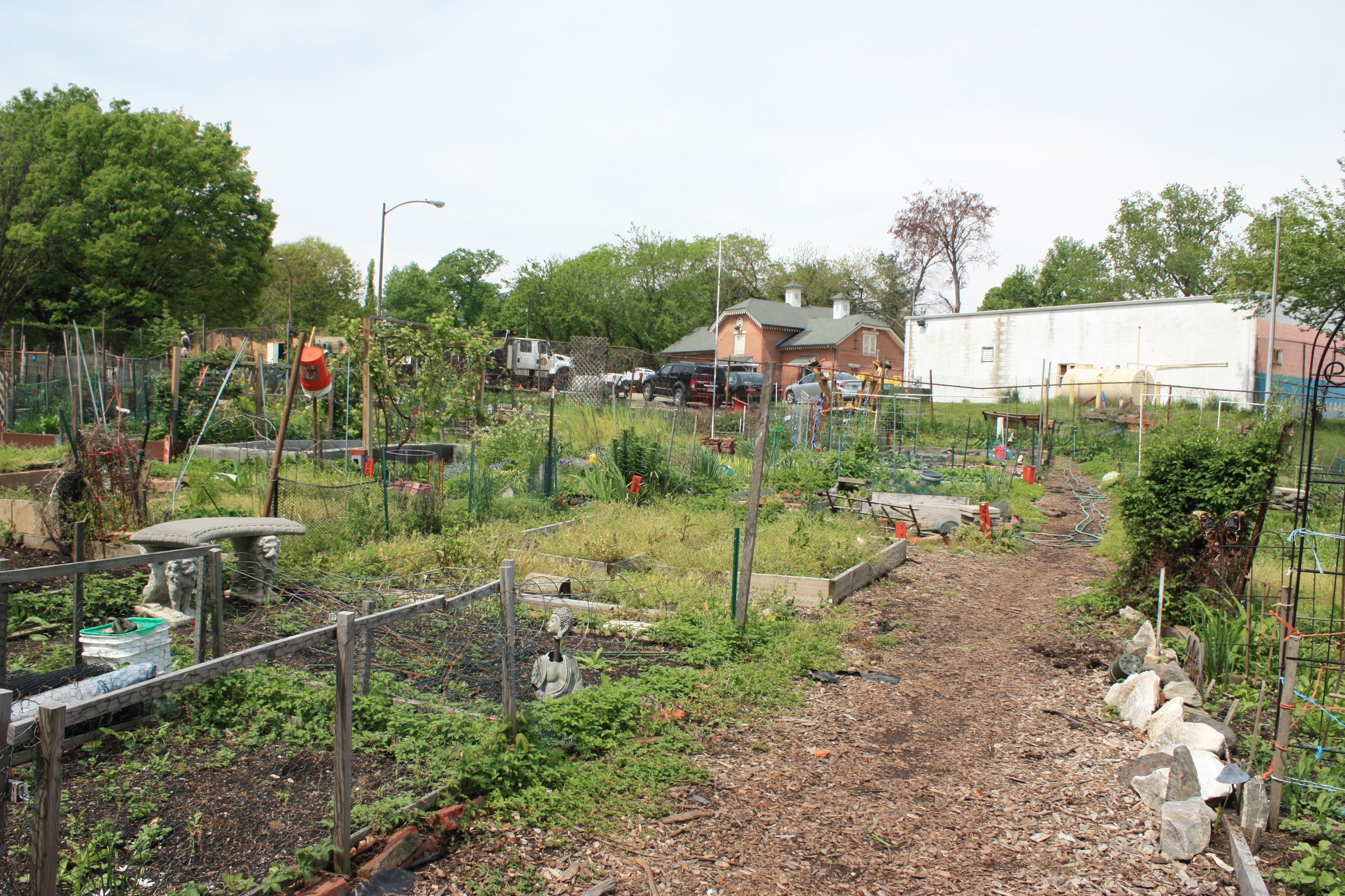 Community Gardens For many residents, rowhouse living does not allow much green space to grow flowers and produce, work the soil, or just relax. Fortunately for city gardeners, the Department of Recreation and Parks’ Horticulture Division maintains 7 community gardens around the City. Patterson Park is home to one of these gardens known as Patterson City Farms Garden . Community gardening has a long history in Patterson Park. In 1904 and again in 1913, the dedication of land for community-tended garden plots is discussed in Park Commission reports with a 1935 map depicting a large children’s garden. Photographs from the time confirm their existence and area residents have said that community-tended gardens or victory gardens have been in the park since World War II. Today, there are 92 plots in Patterson’s City Farms Garden that are 150 square feet each and are available for rent to residents. The cost per plot is $30 annually, which includes access to water, compost, soil and tools. Each year during the main harvest season, the city holds a City Farms Feast for all program participants. For more information, contact Harold McCray, City Farms Coordinator at (410) 396-4850