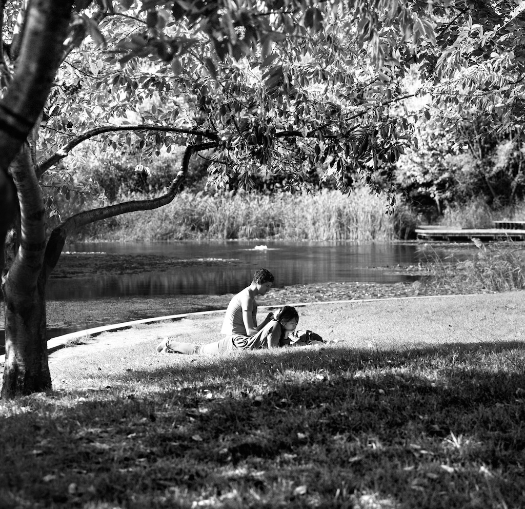 Runner Up - "Park People" Category