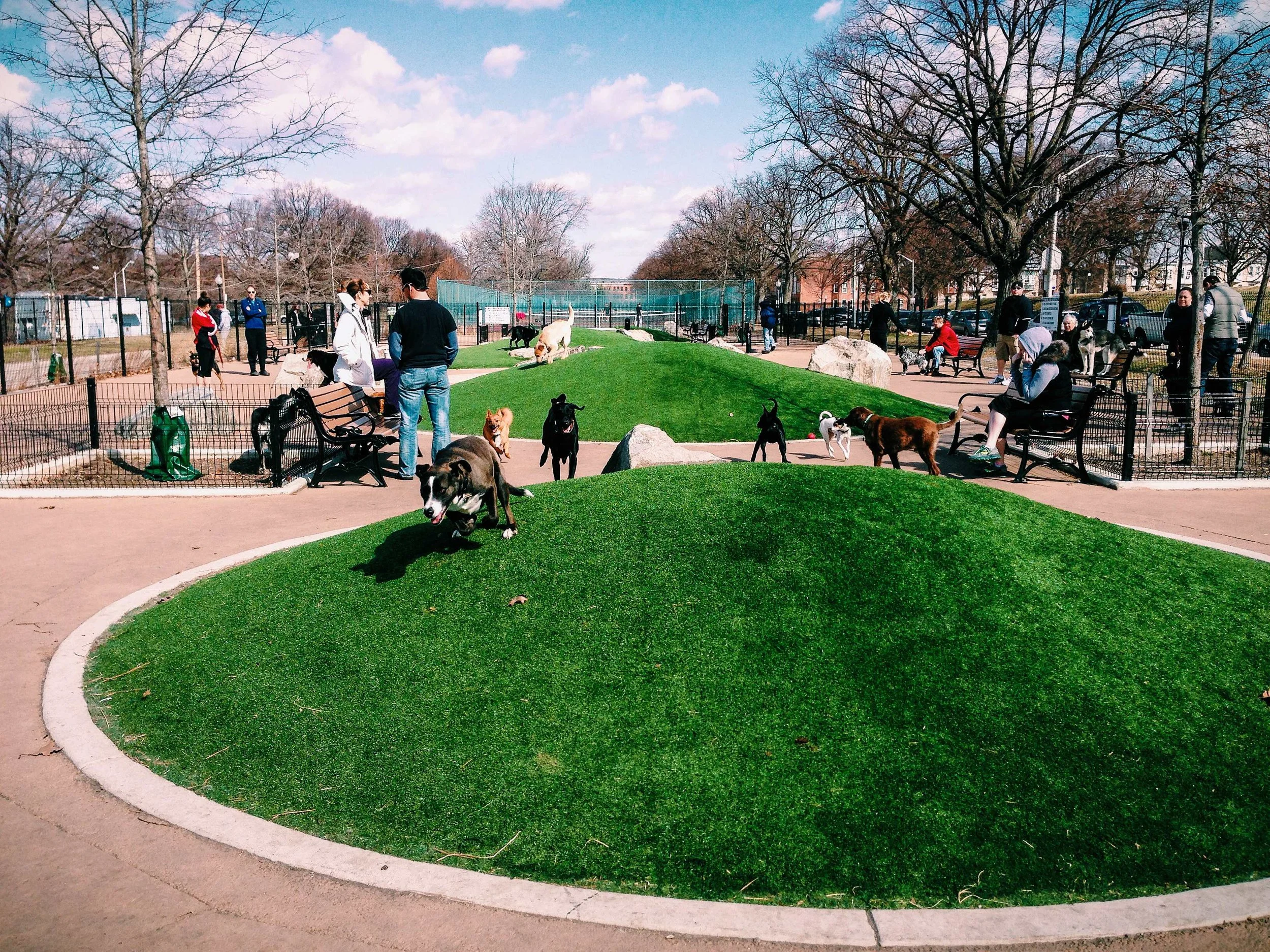 Dog Park The Patterson Park Dog Park is located south of the tennis courts on Linwood Avenue and features two fenced-in spaces for dogs to run. For more information about the Dog Park, rules, and how you can get involved, visit the Patterson Dog Park Association's Facebook page .