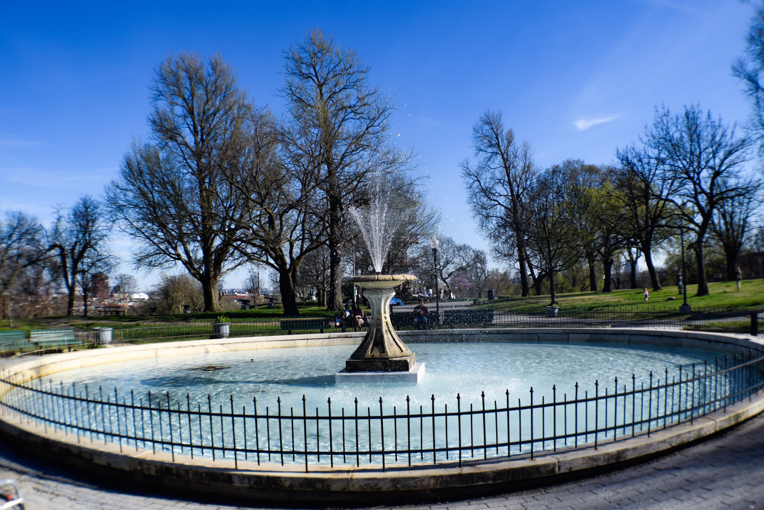  We renovated the historic 1865 marble fountain back in the early 2000's and continue to maintain it. 