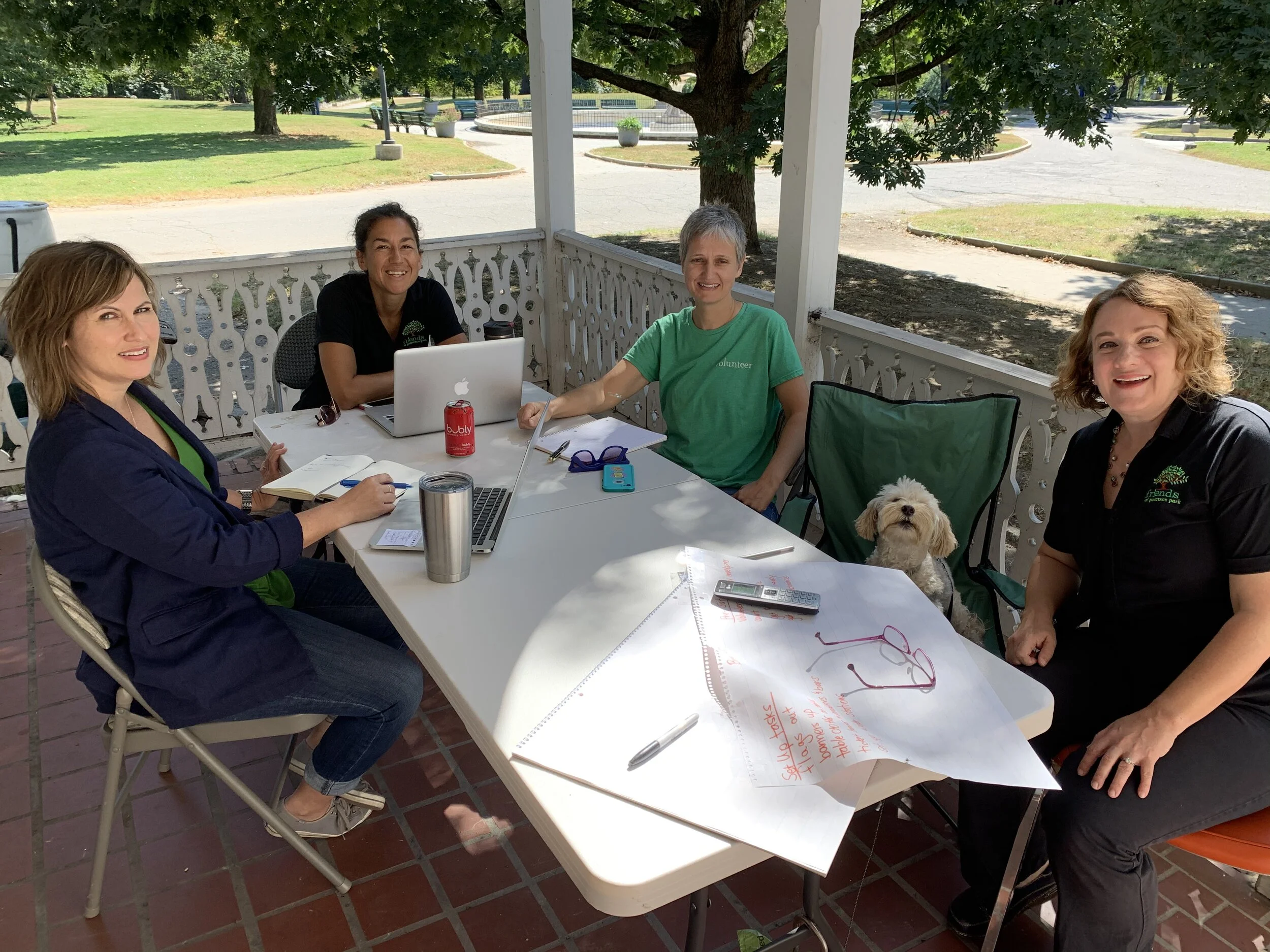 What we're up to behind the scenes...advocating for Patterson Park!