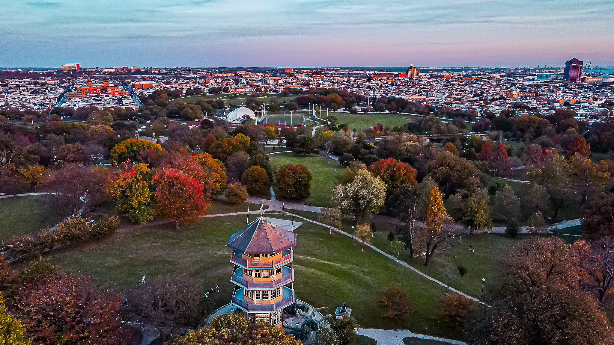 Friends announces Interim Director