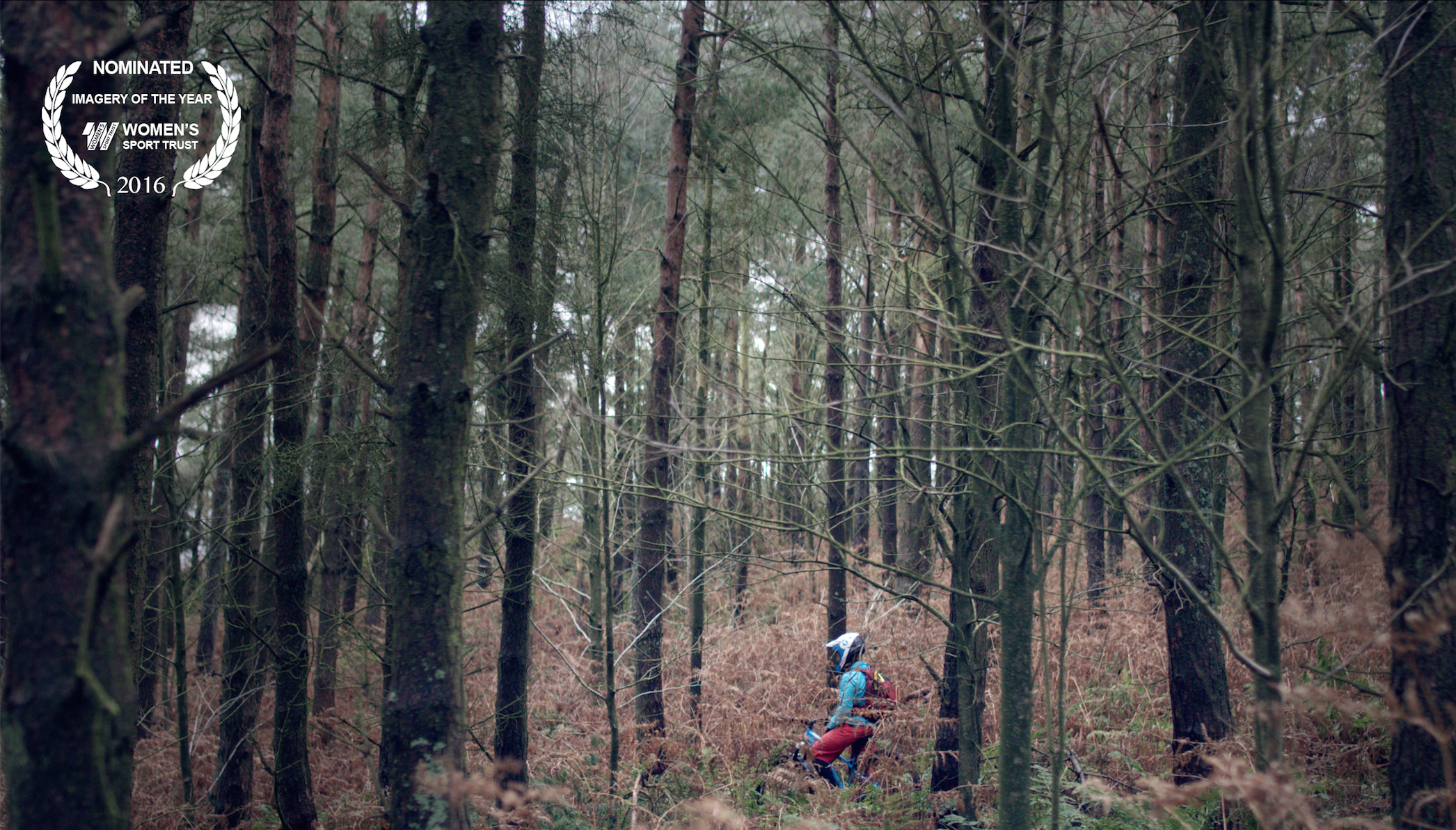 Screen Shot 2016-08-24 at 17.25.33.png