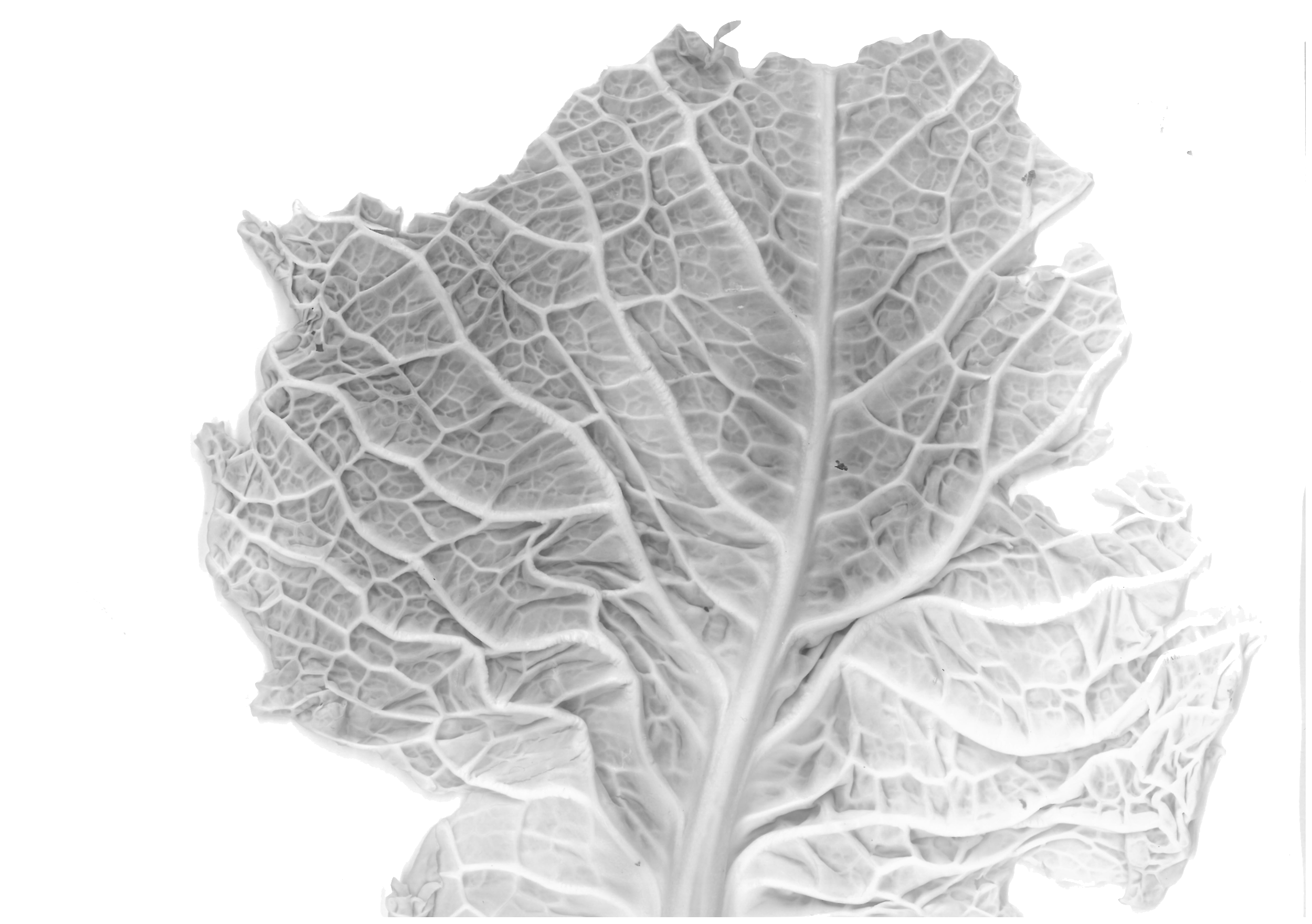 Skm1820721319032012360 copy.png