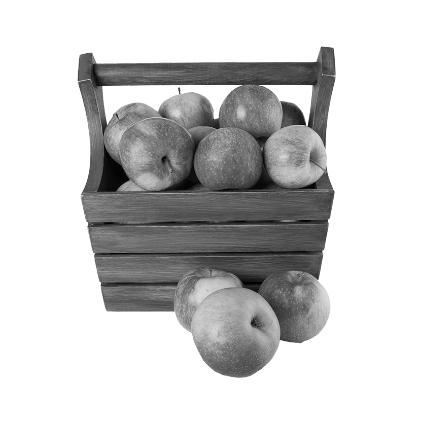 Nutrition for a New Year