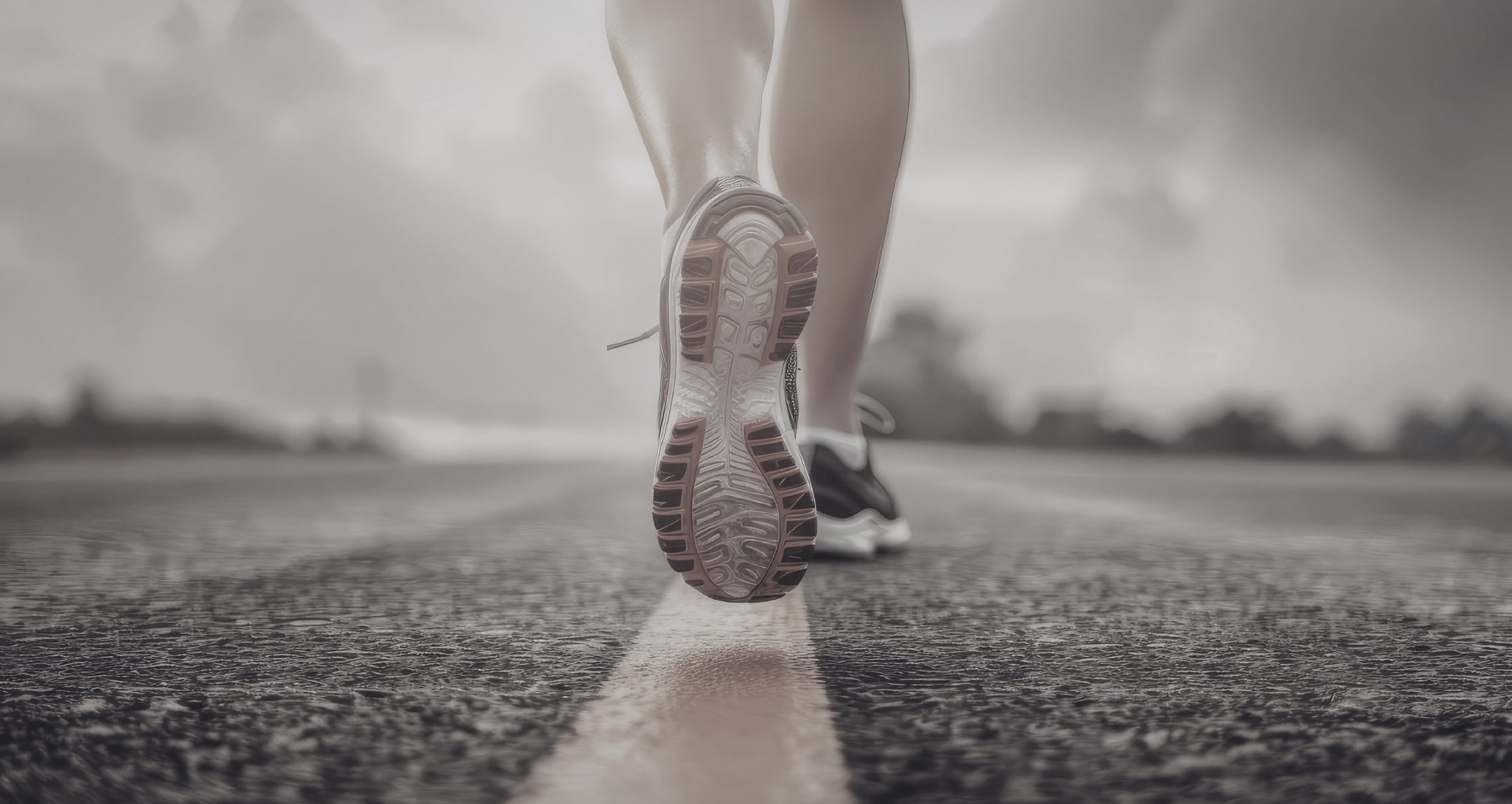 Home Page Boxer 500.png