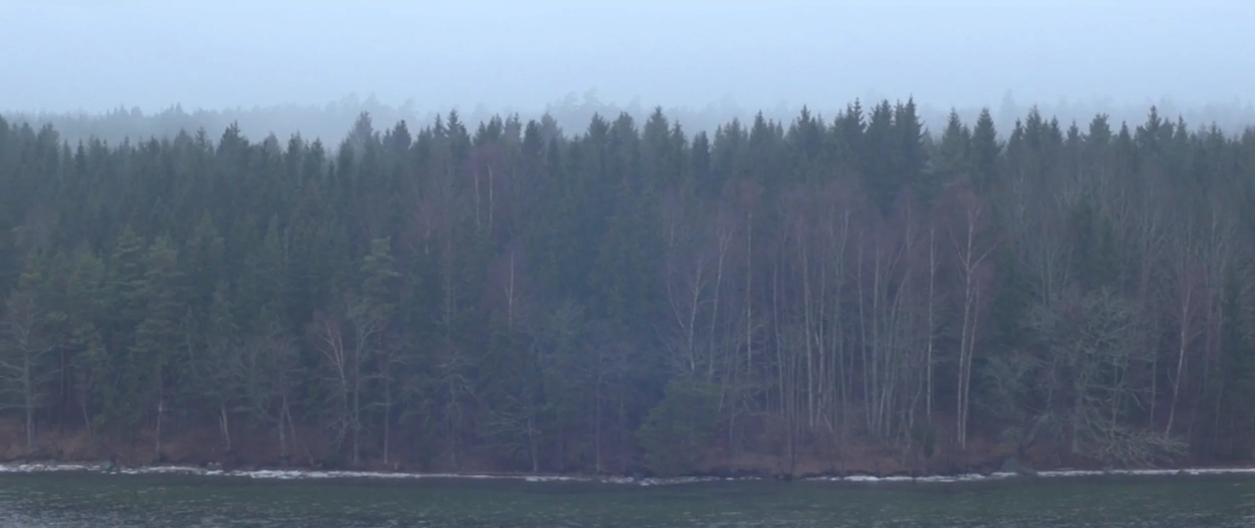 intermediate host.jpg