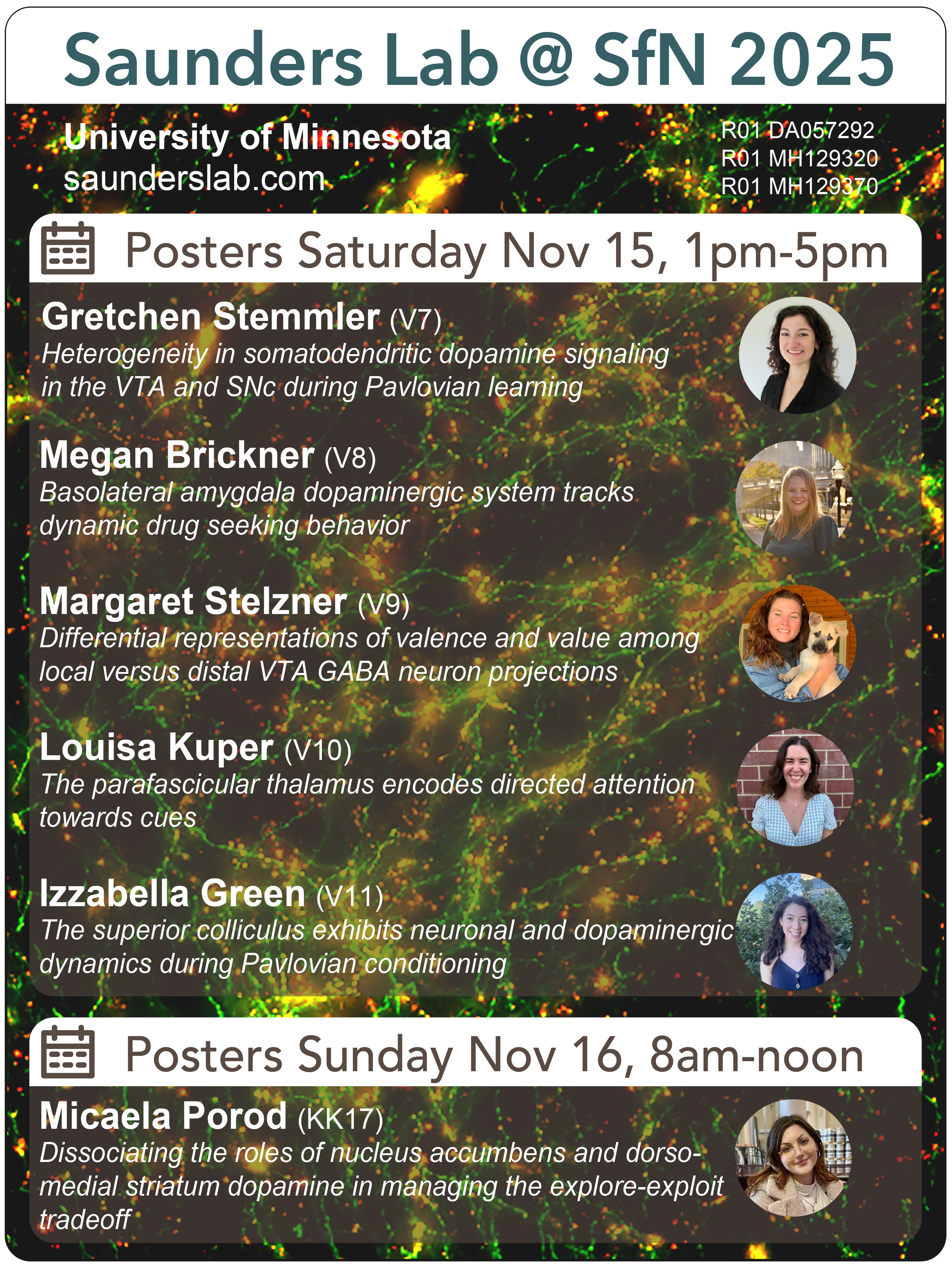 SFN 2025 Poster Flyer.png